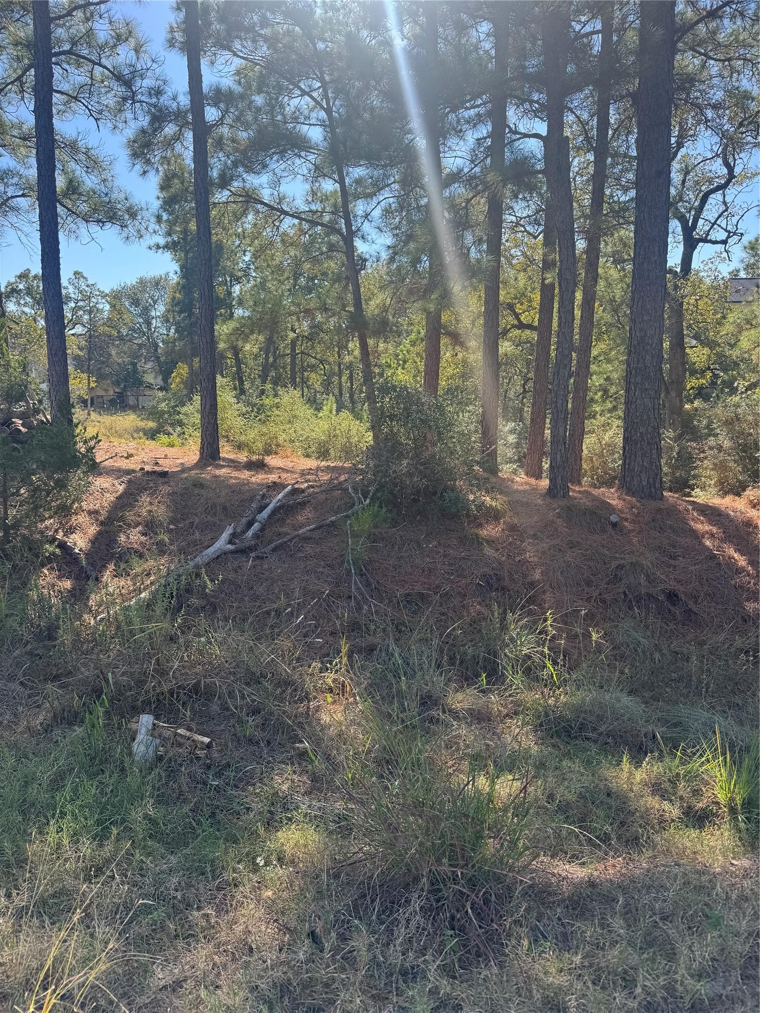 Lot 97 Kaelepulu Dr