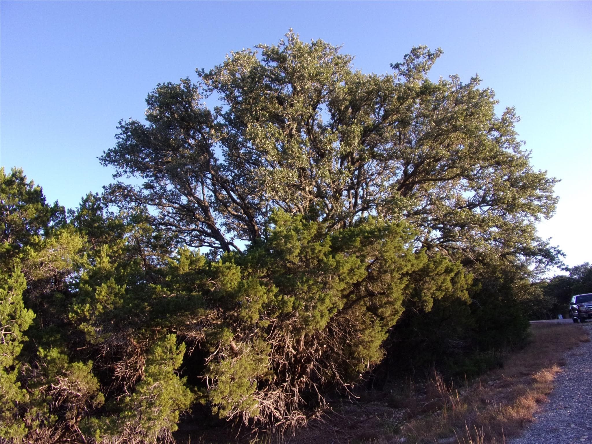 361/395 Mountain Wood Dr