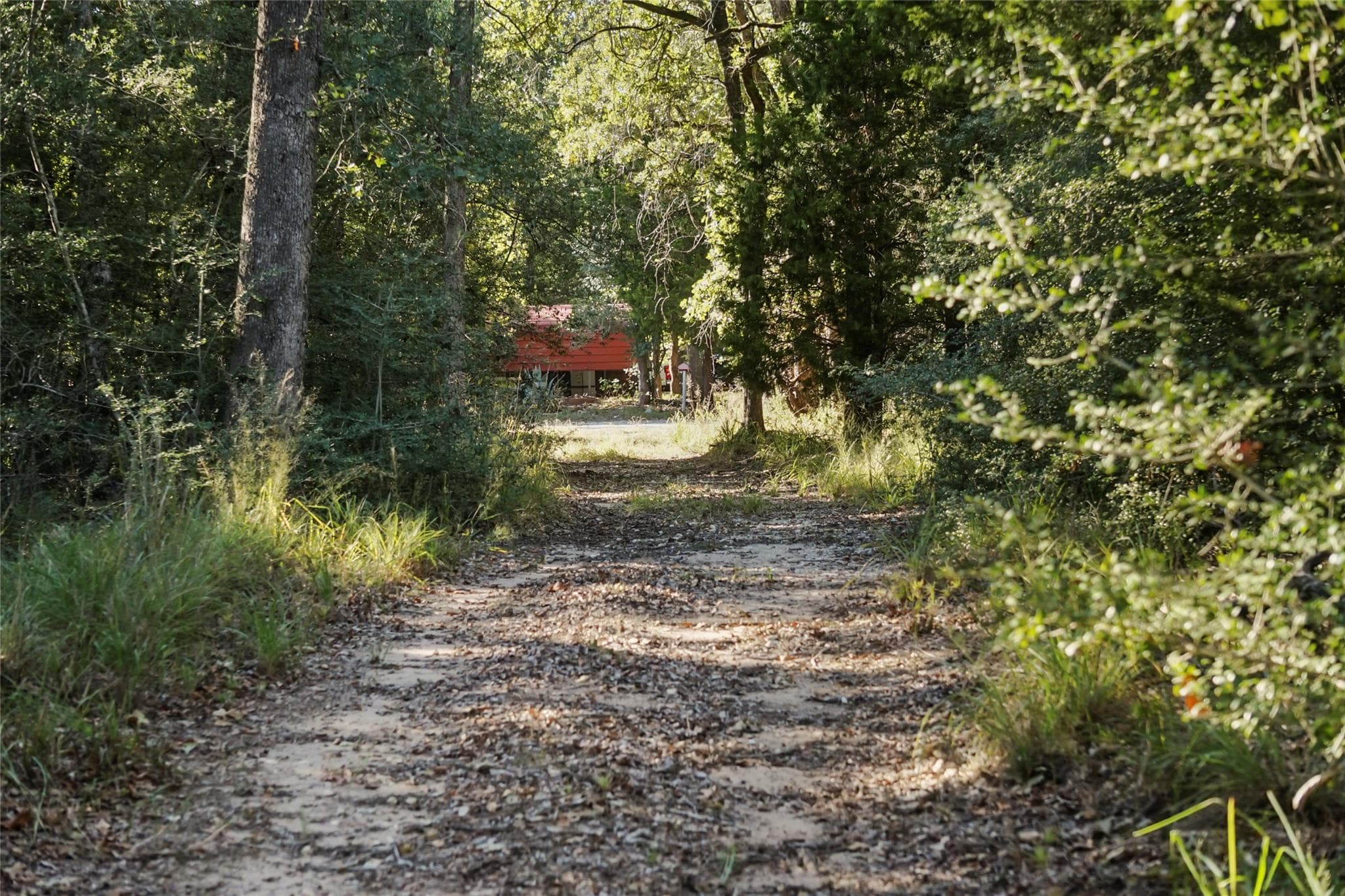 141  Morning Dove Ln