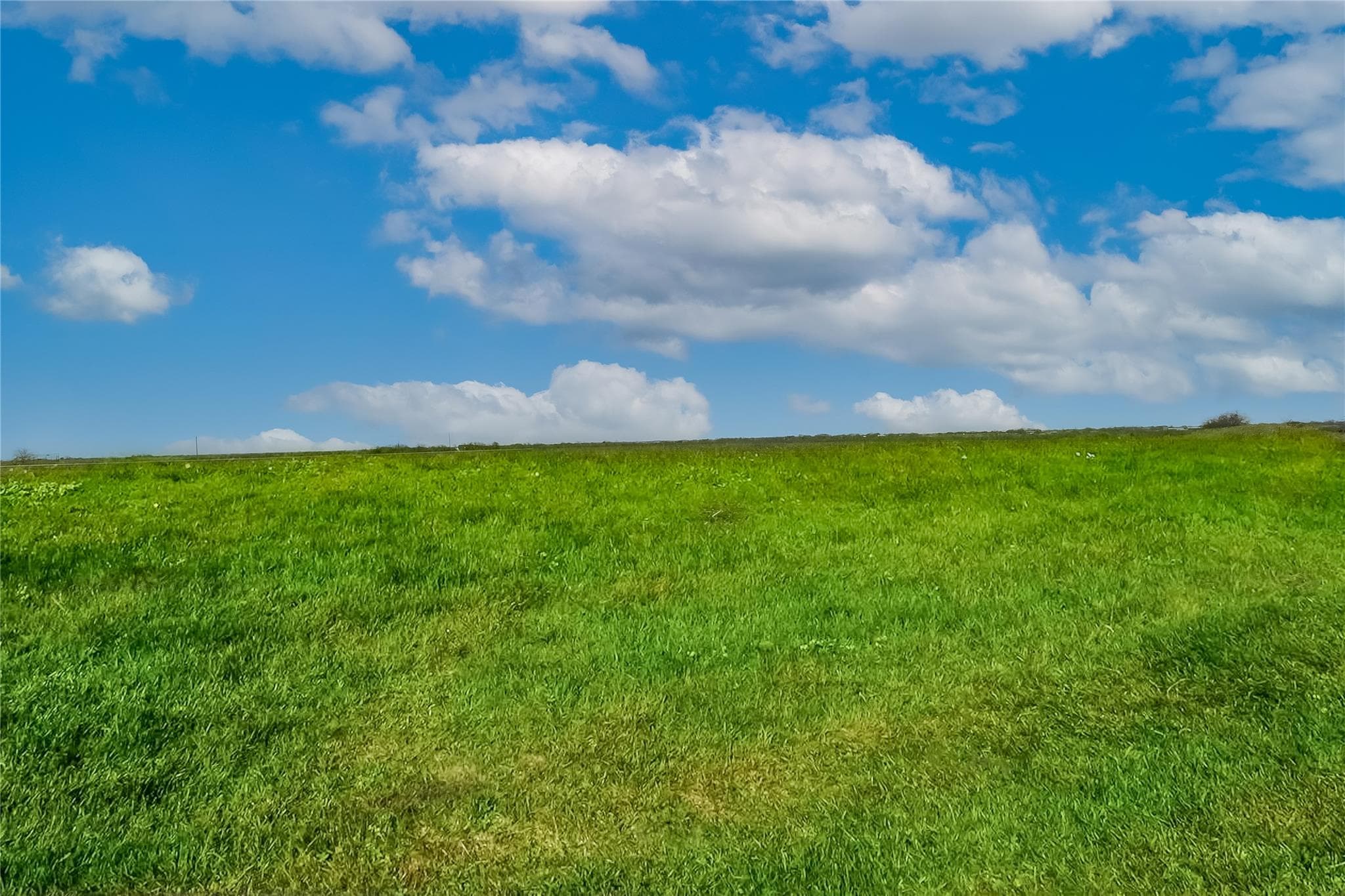 TBD  County Road 445 Tract 1 None