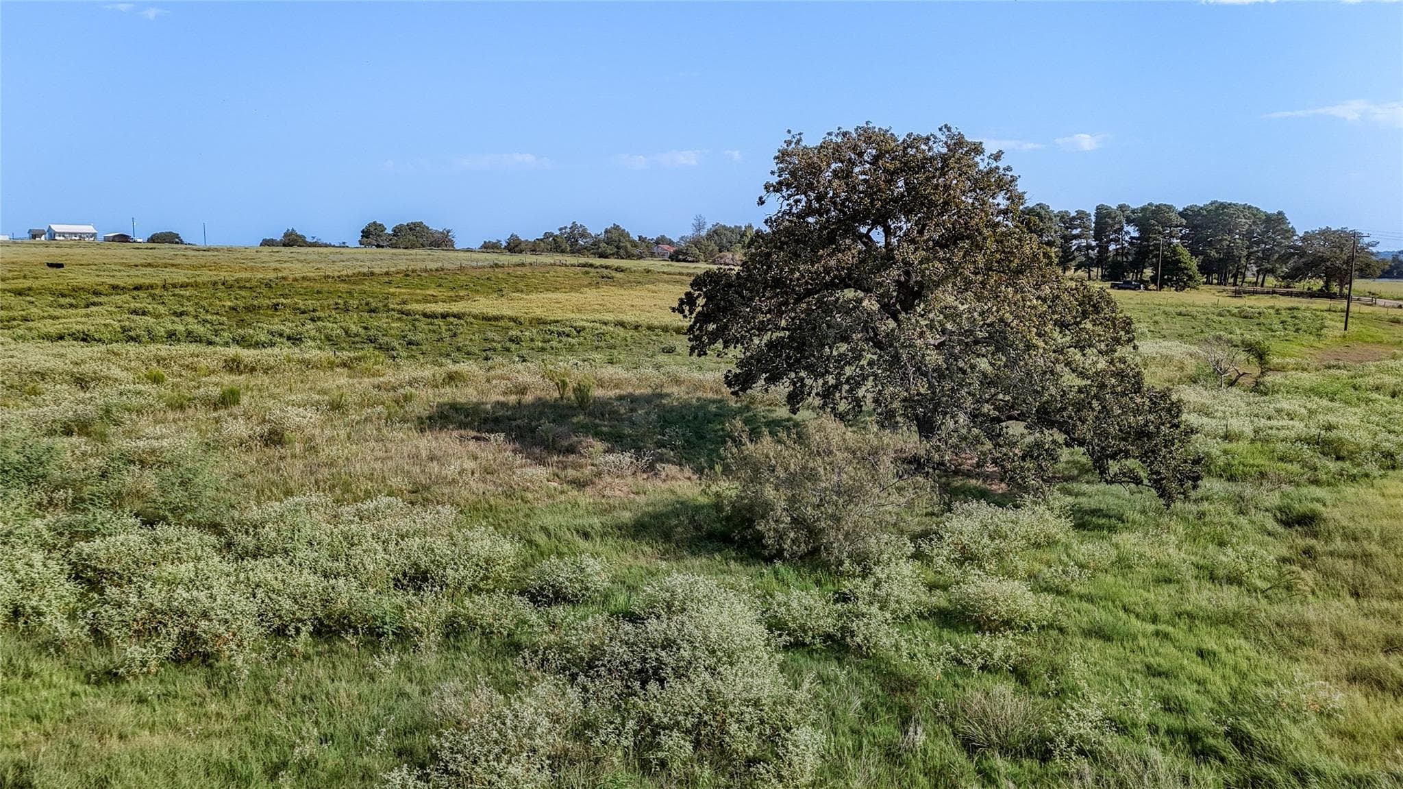 TBD  County Road 326 (Tract 3) None