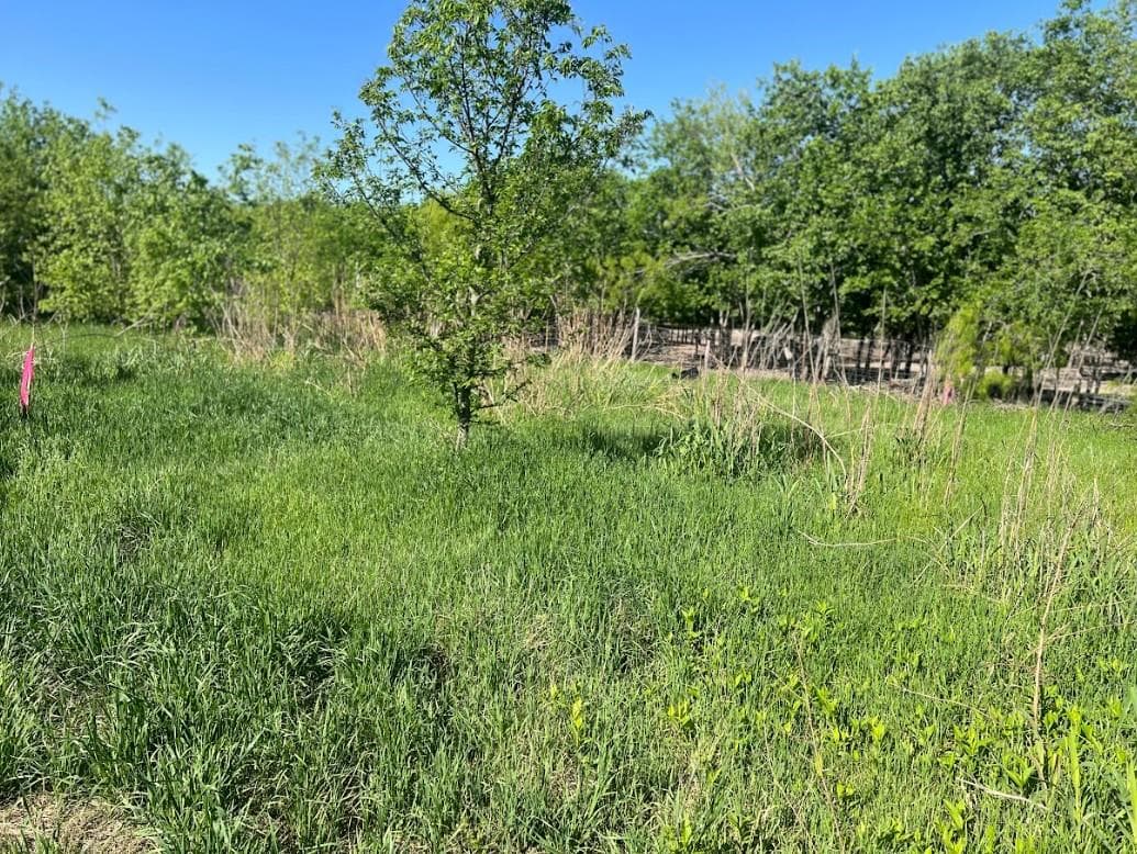 W Brook St(Lot #2, Bk 72) W Brook St