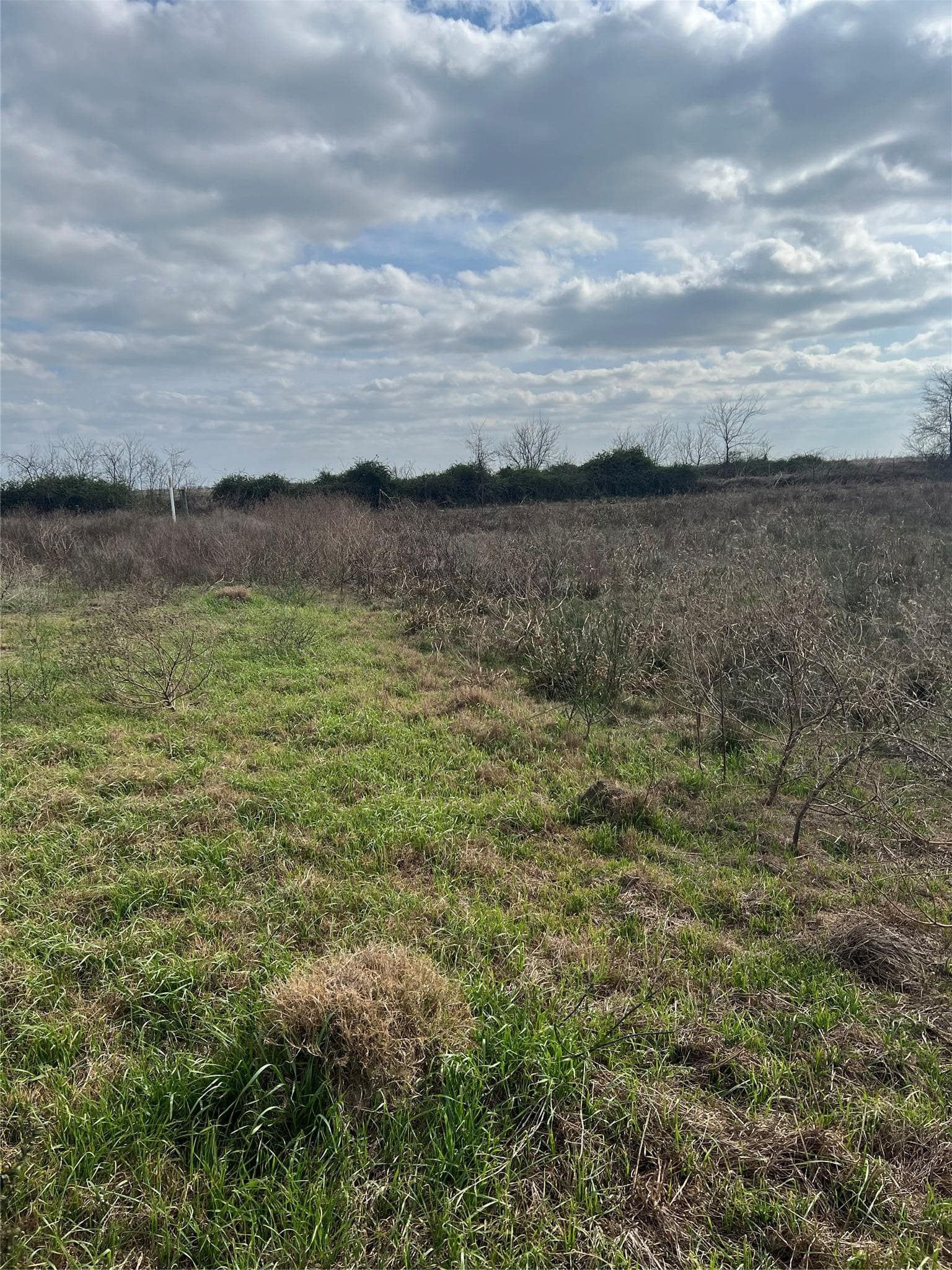 TBD lot 1 Beal Rd