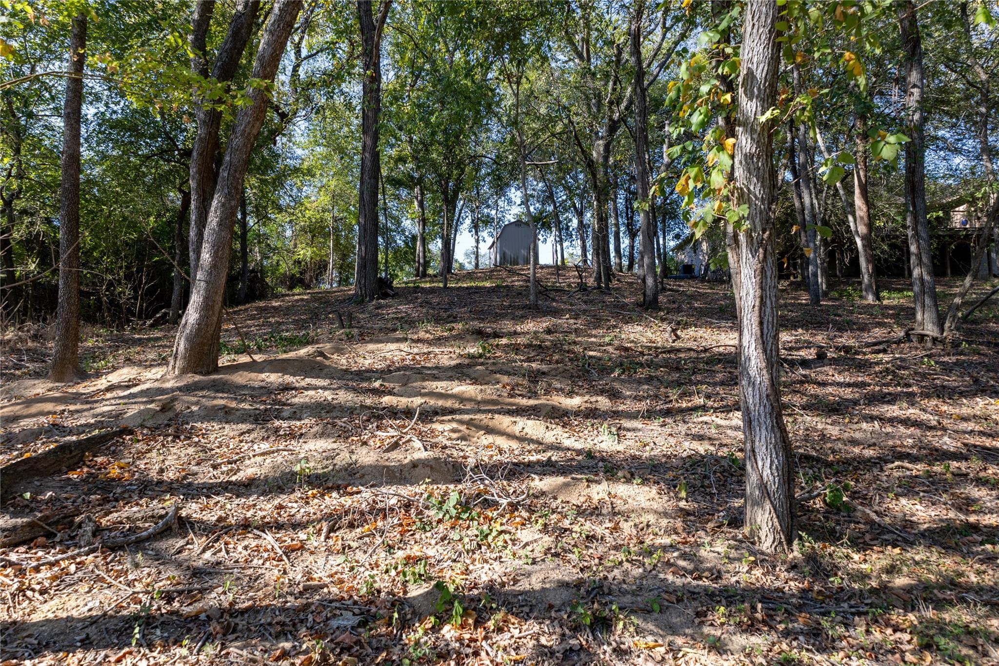 314  Red Bird Ln