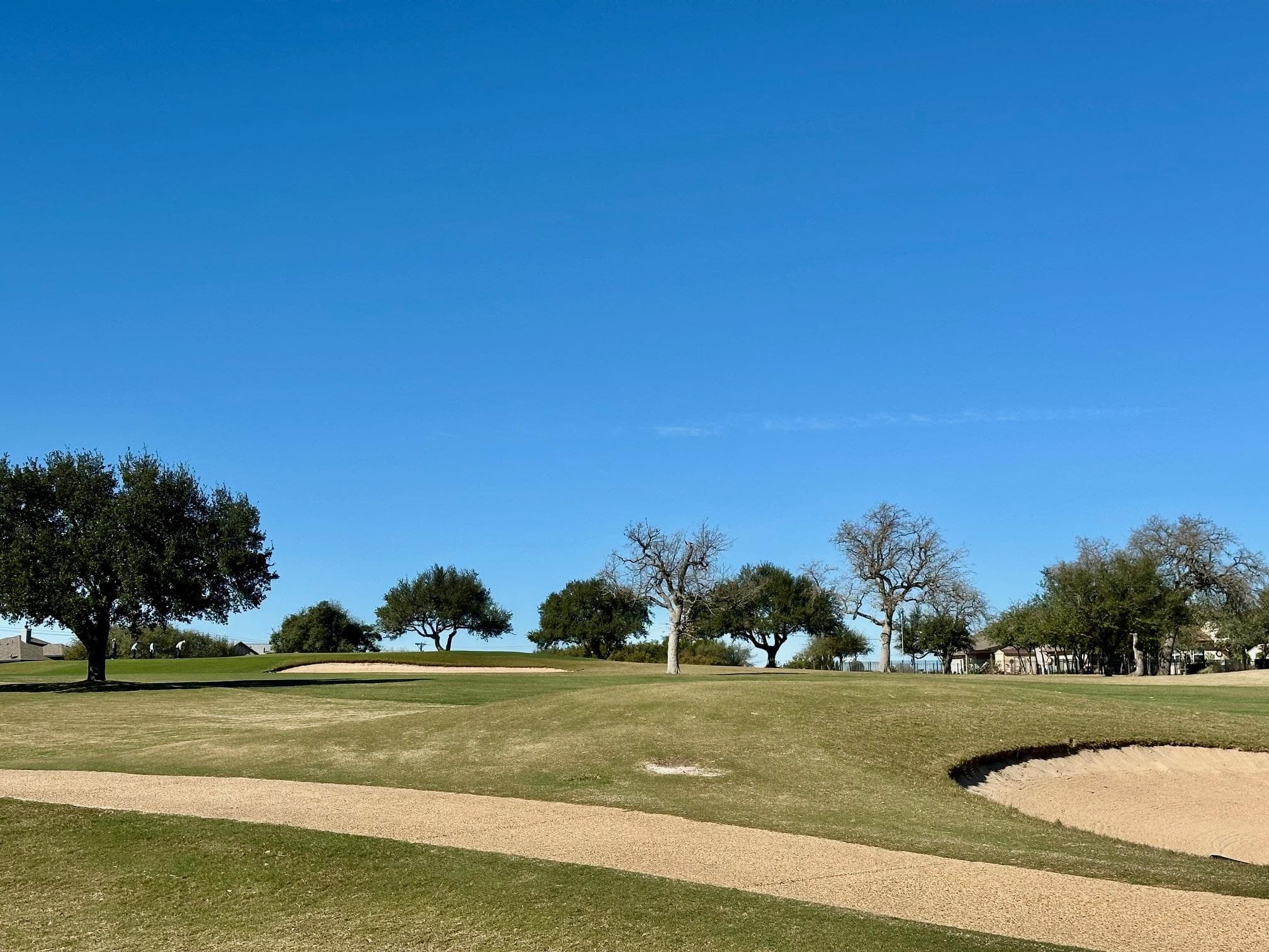 117  Warren Wallace None