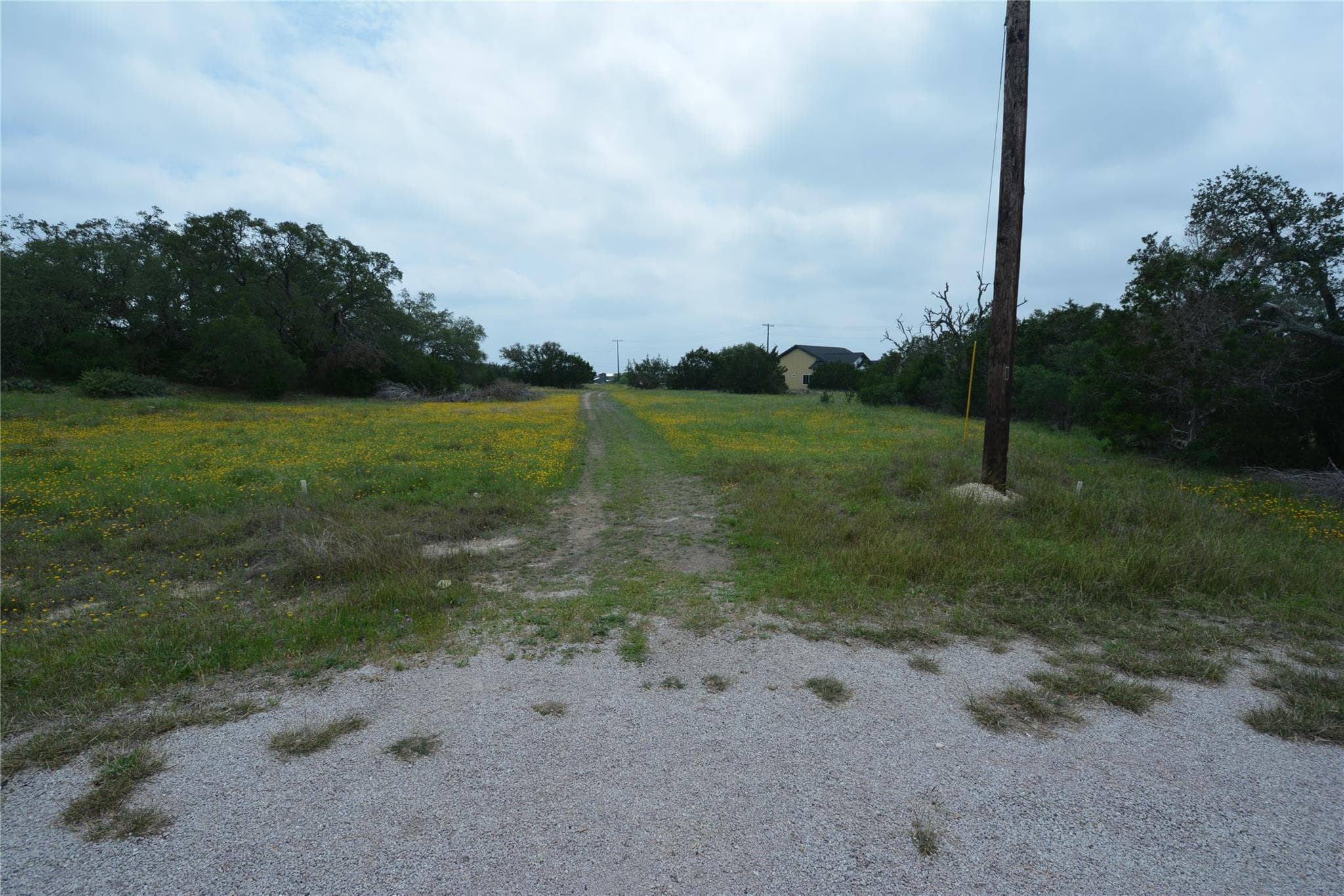 134 E Alex Jordan None