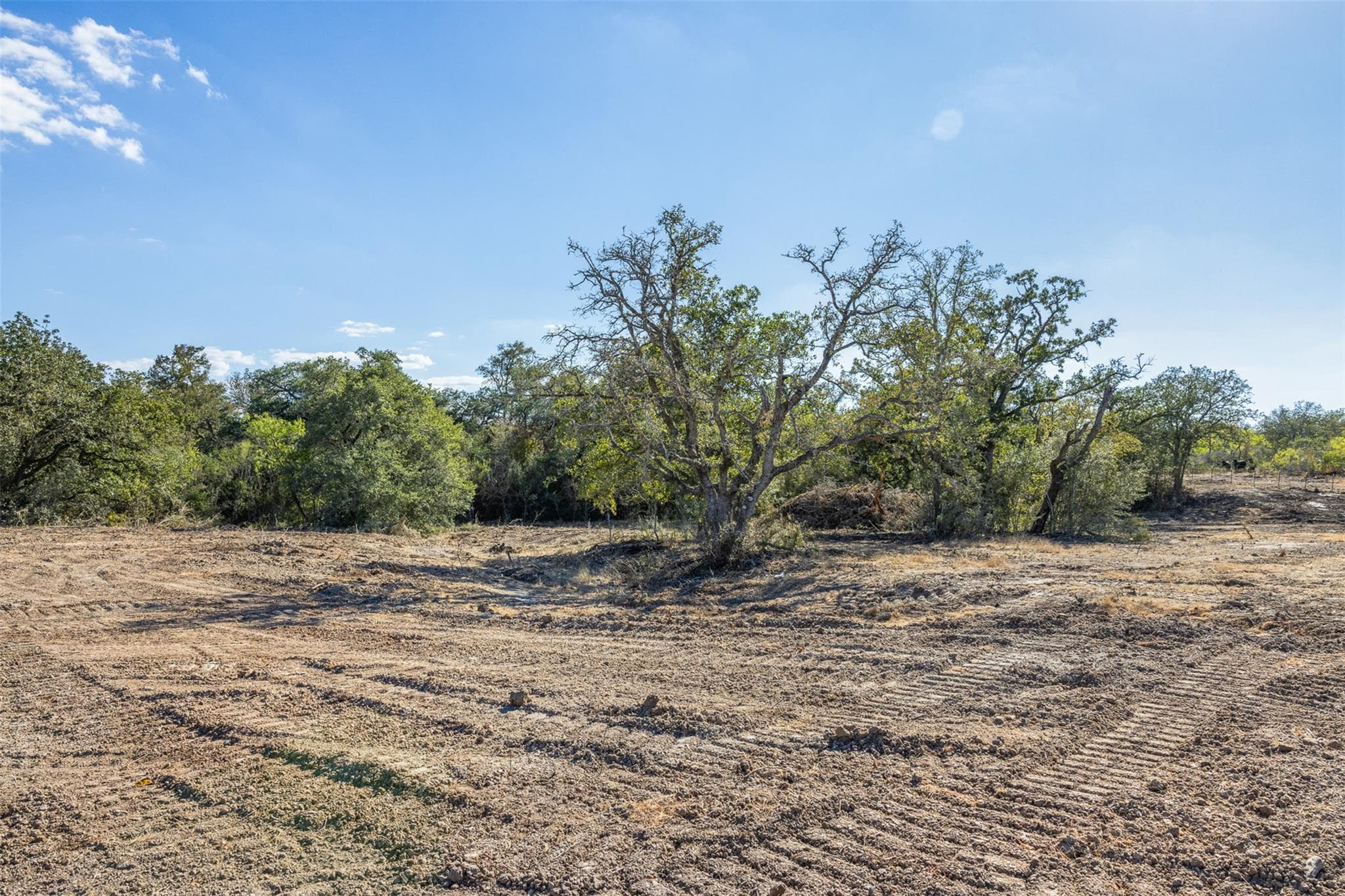 Lot 12 County Road 211 None