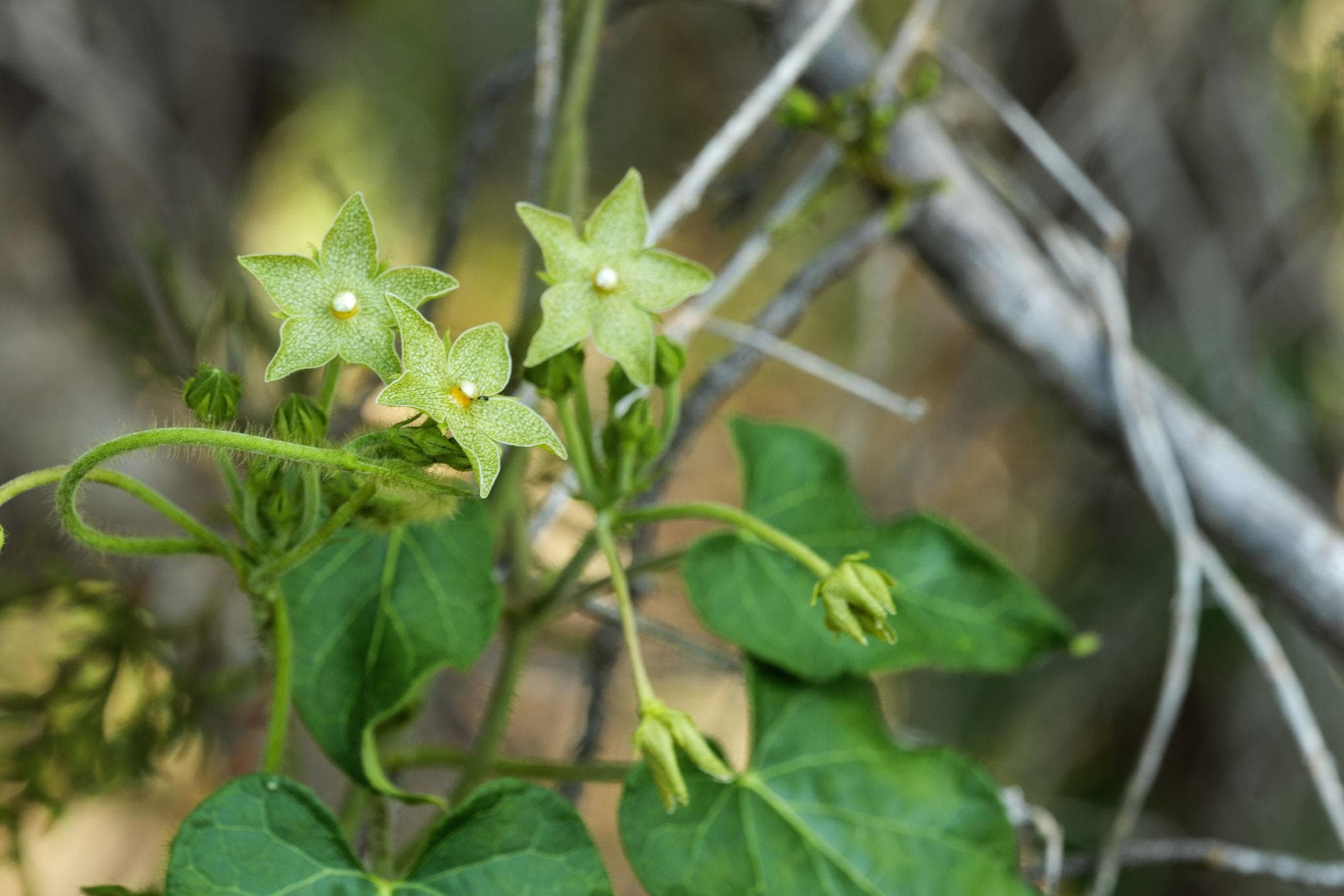 17503  Lake Shore Dr