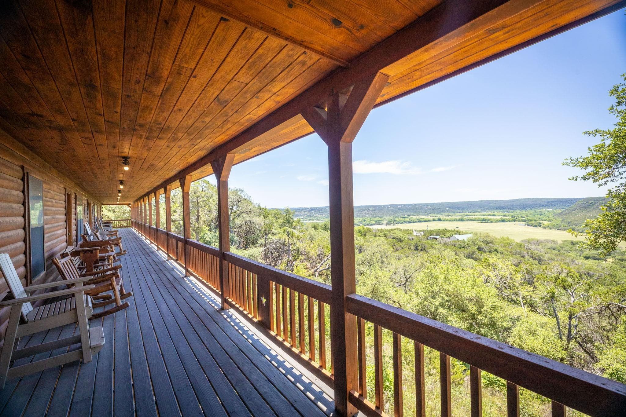 1012  Mourning Dove None