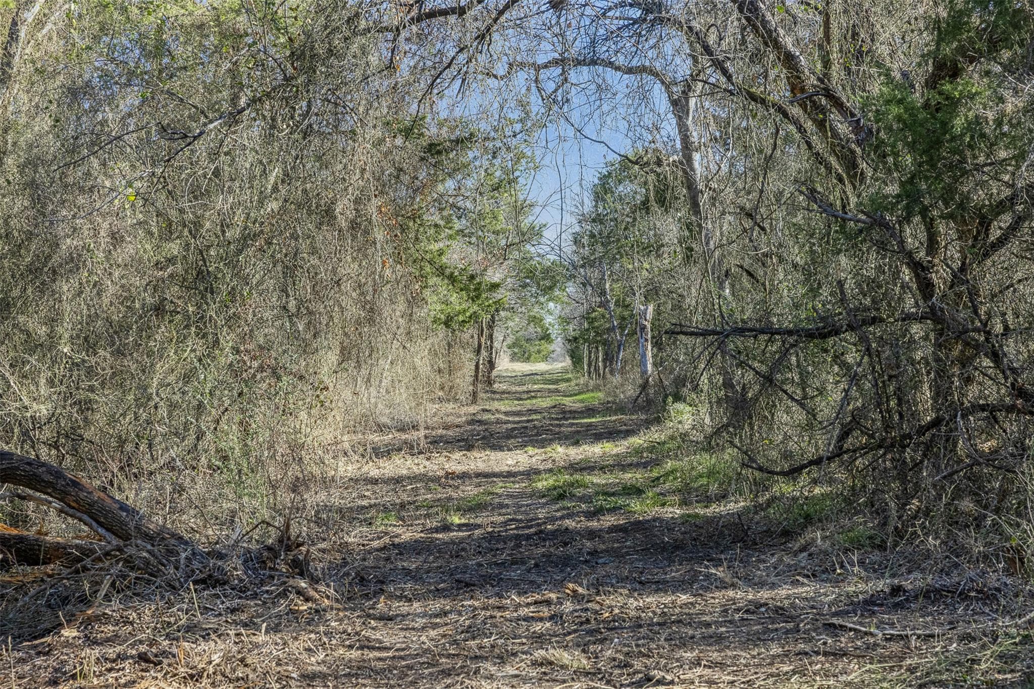 Tract 3 County Road 386 None