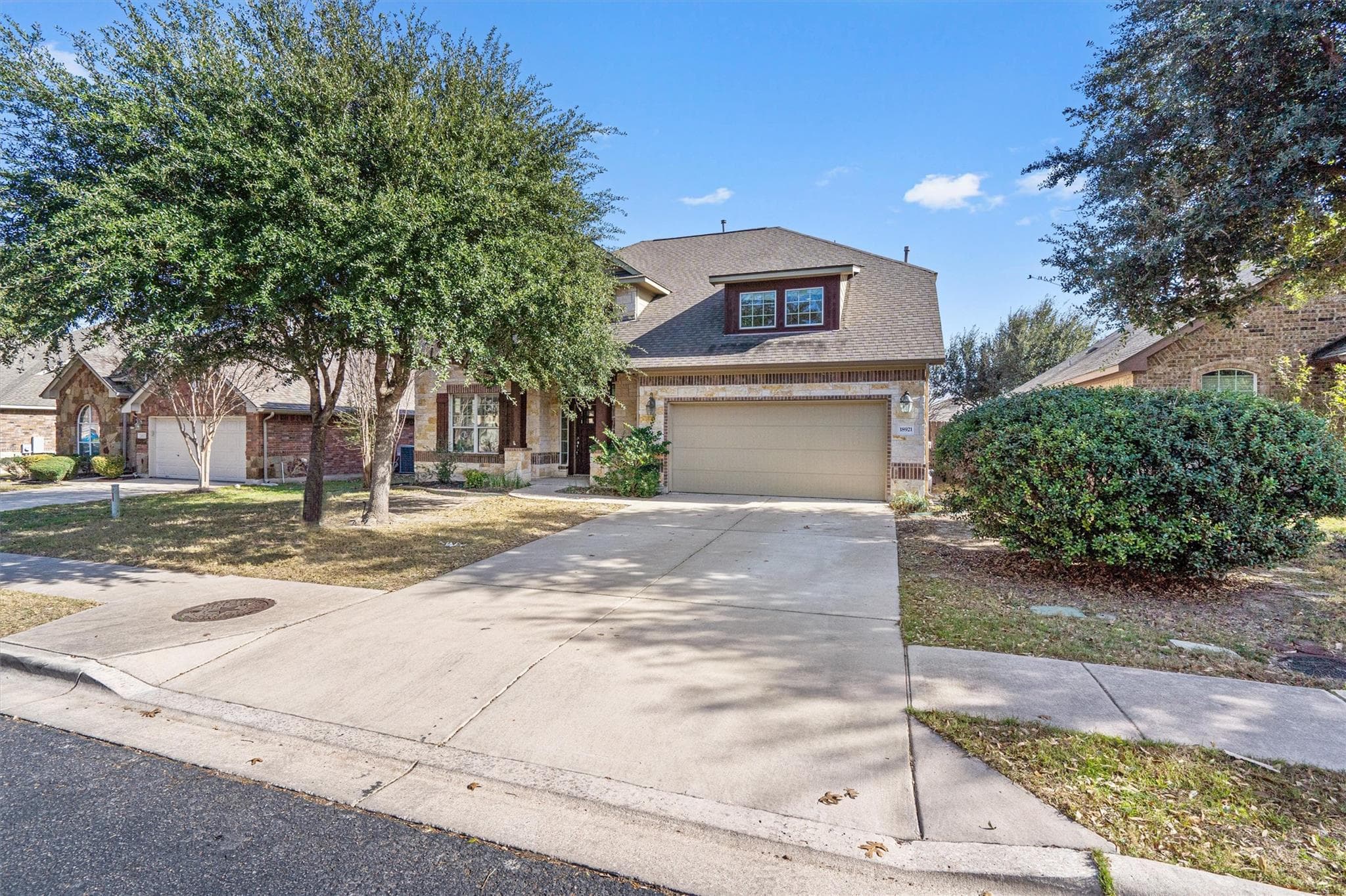 18921  Wandering Vine Cv