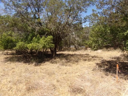 Lot 141 Pine Lane None