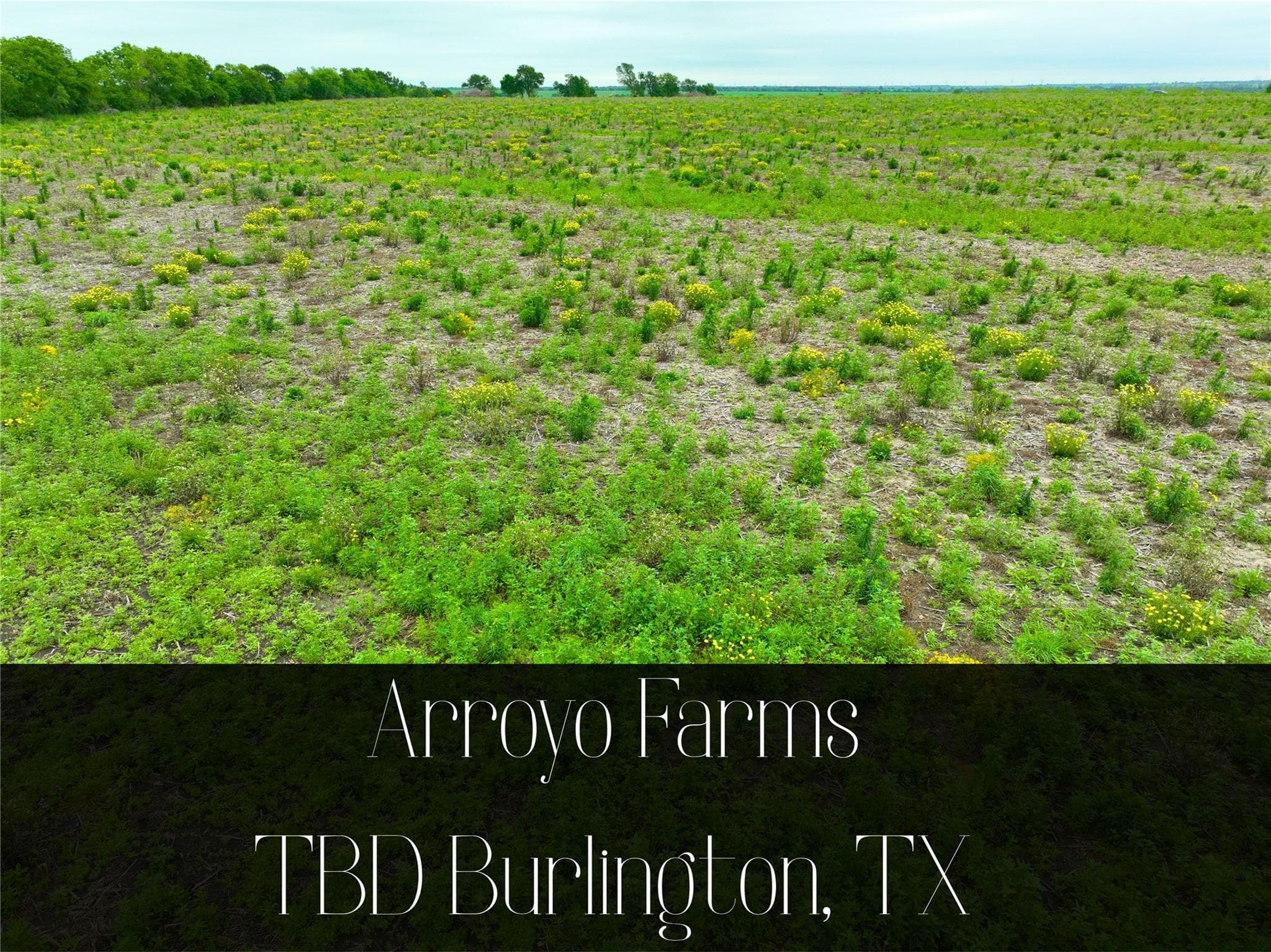 TBD Lot 5, Blk 2 132 Rd