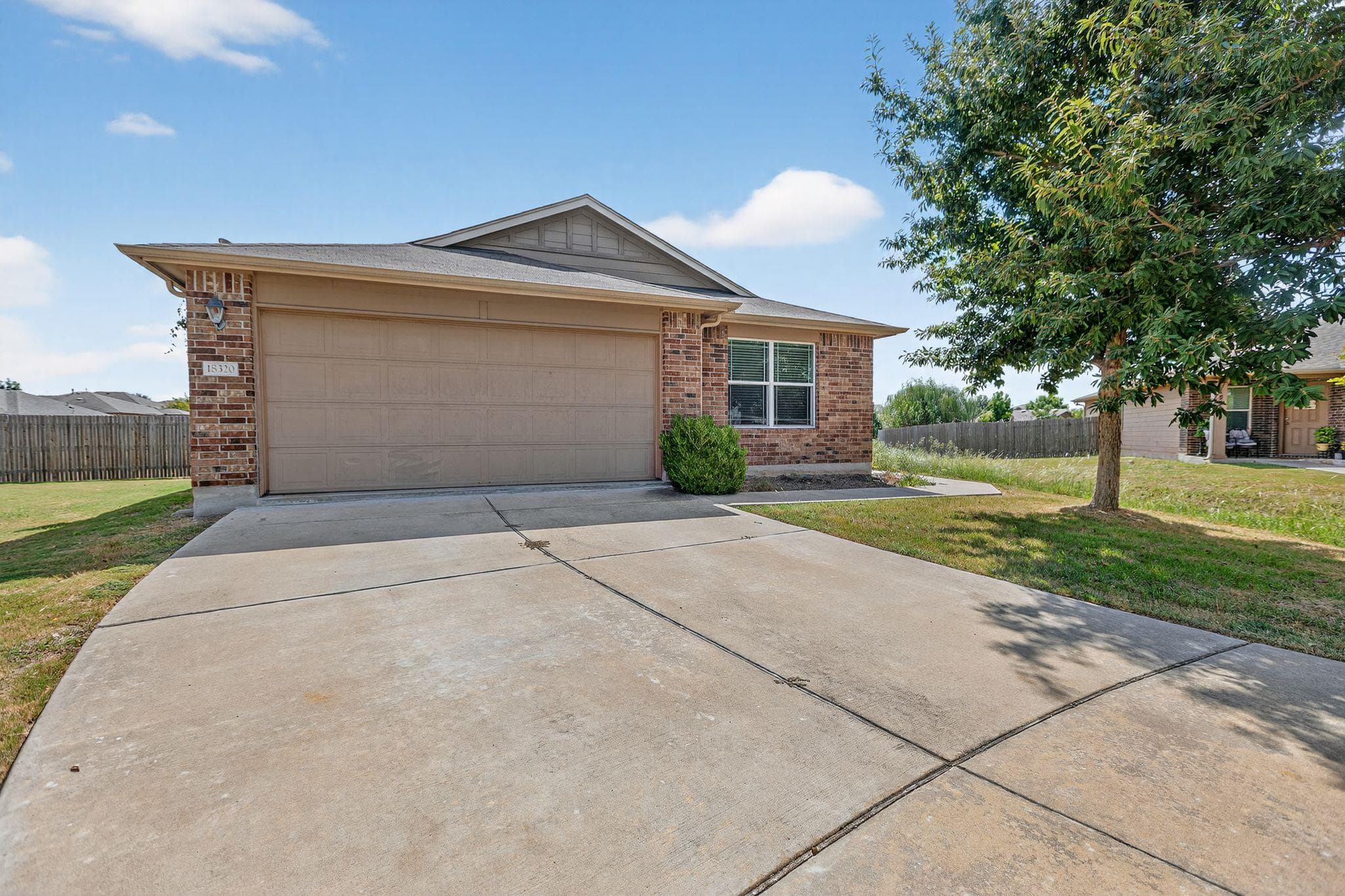 18320  Rock Sage Cv