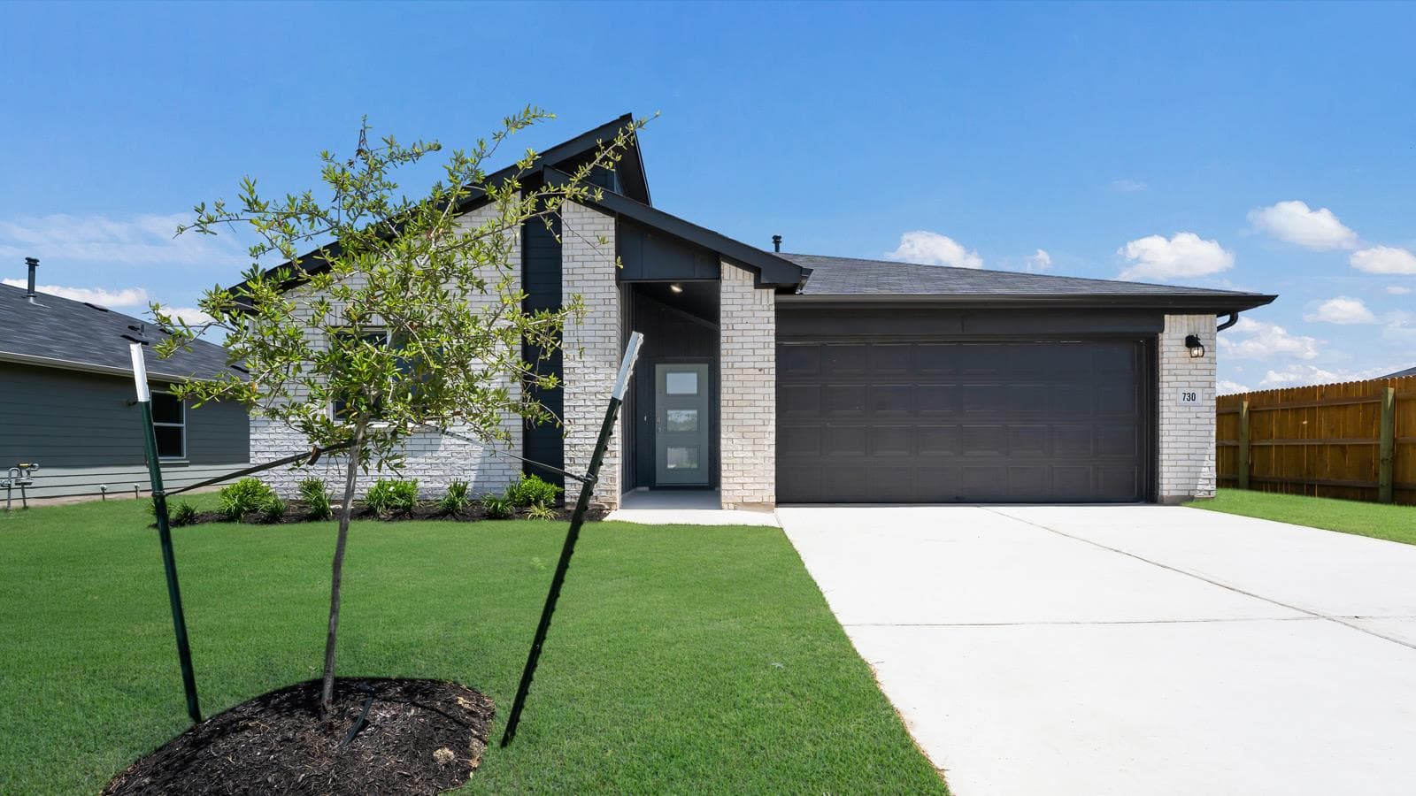 470 CAROLINA BUCKTHORN Dr