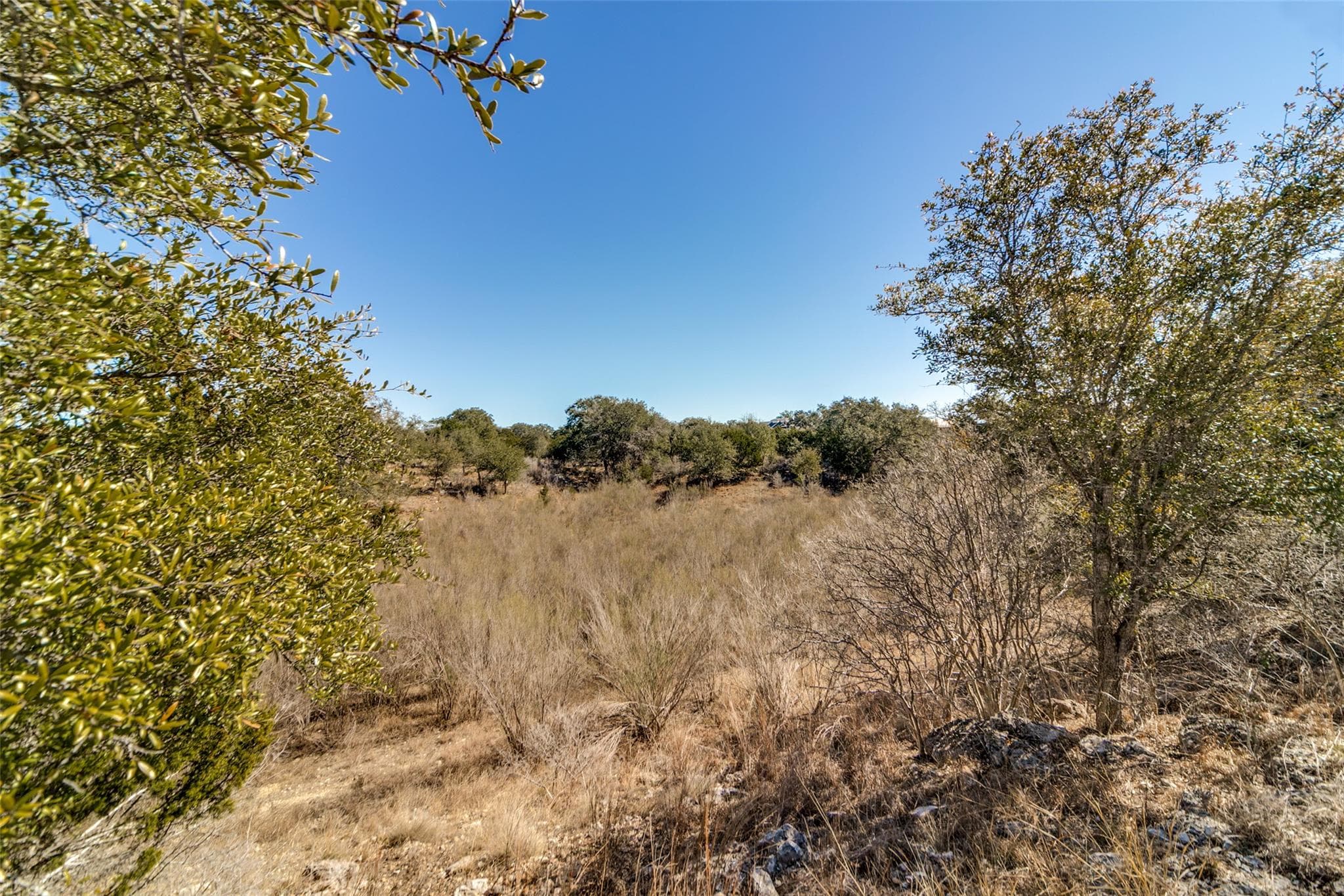 Lot 85 Palomino Springs None