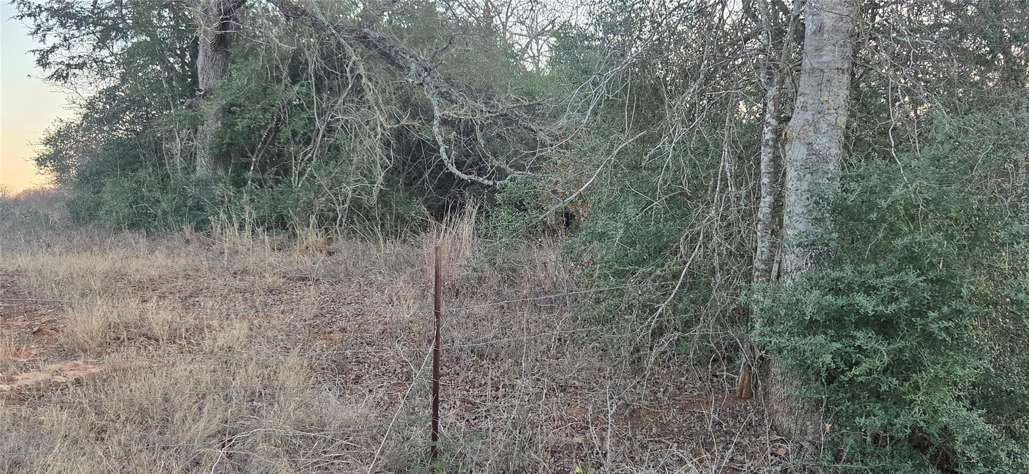 314 County Road Lot 8  TBD Rd