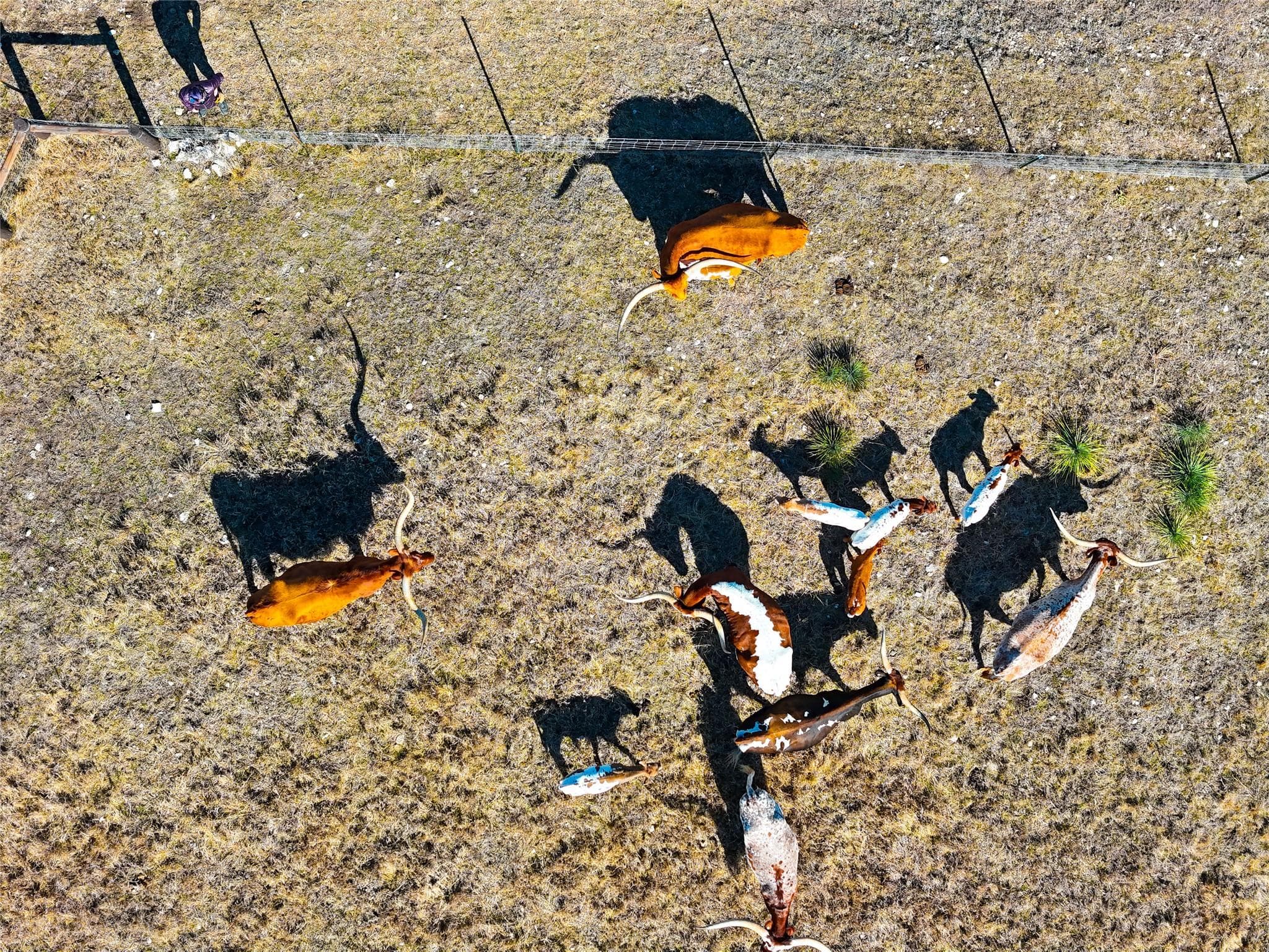 TBD  Lipan Apache Run