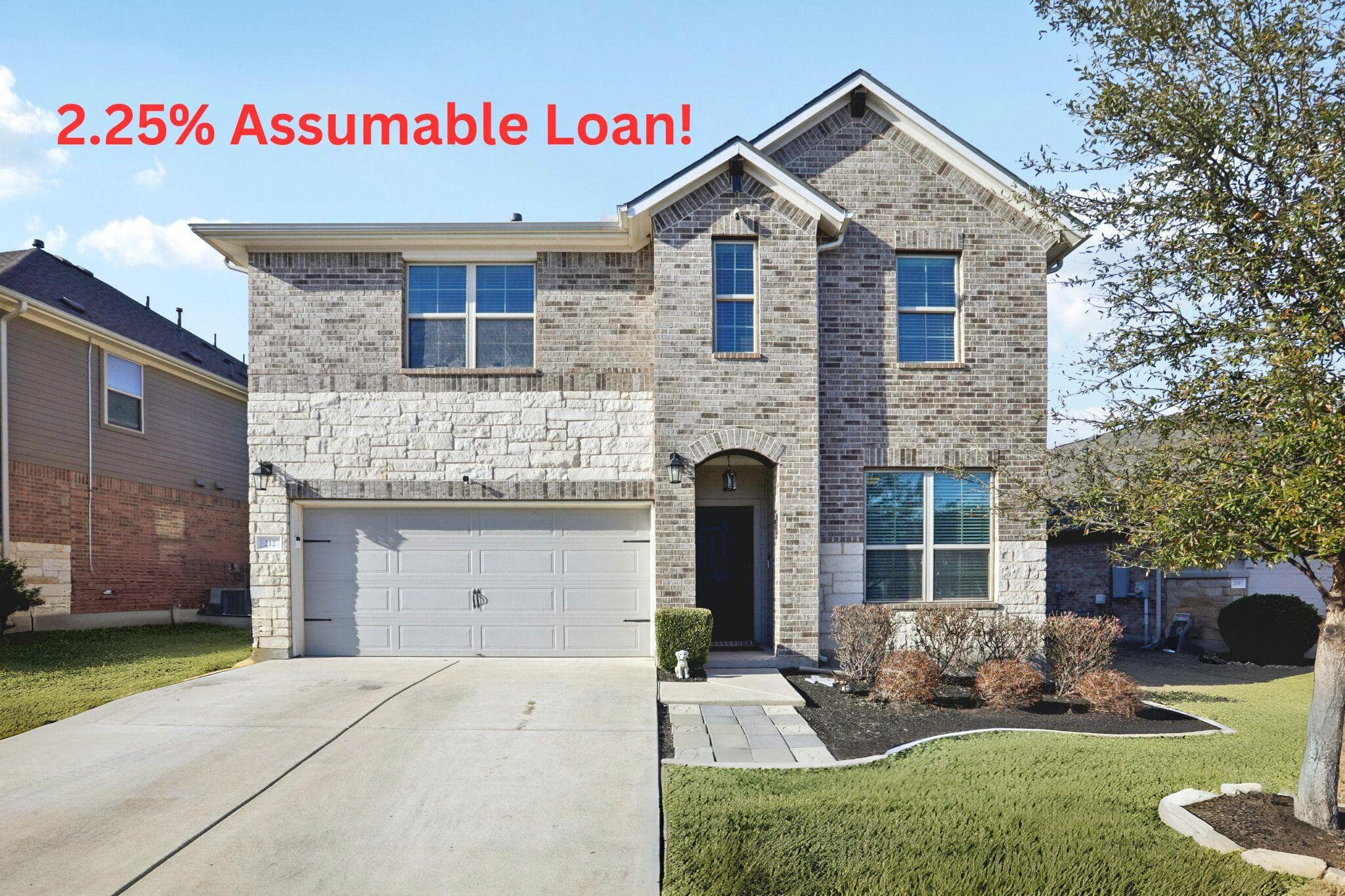 212  Spanish Foal Trl