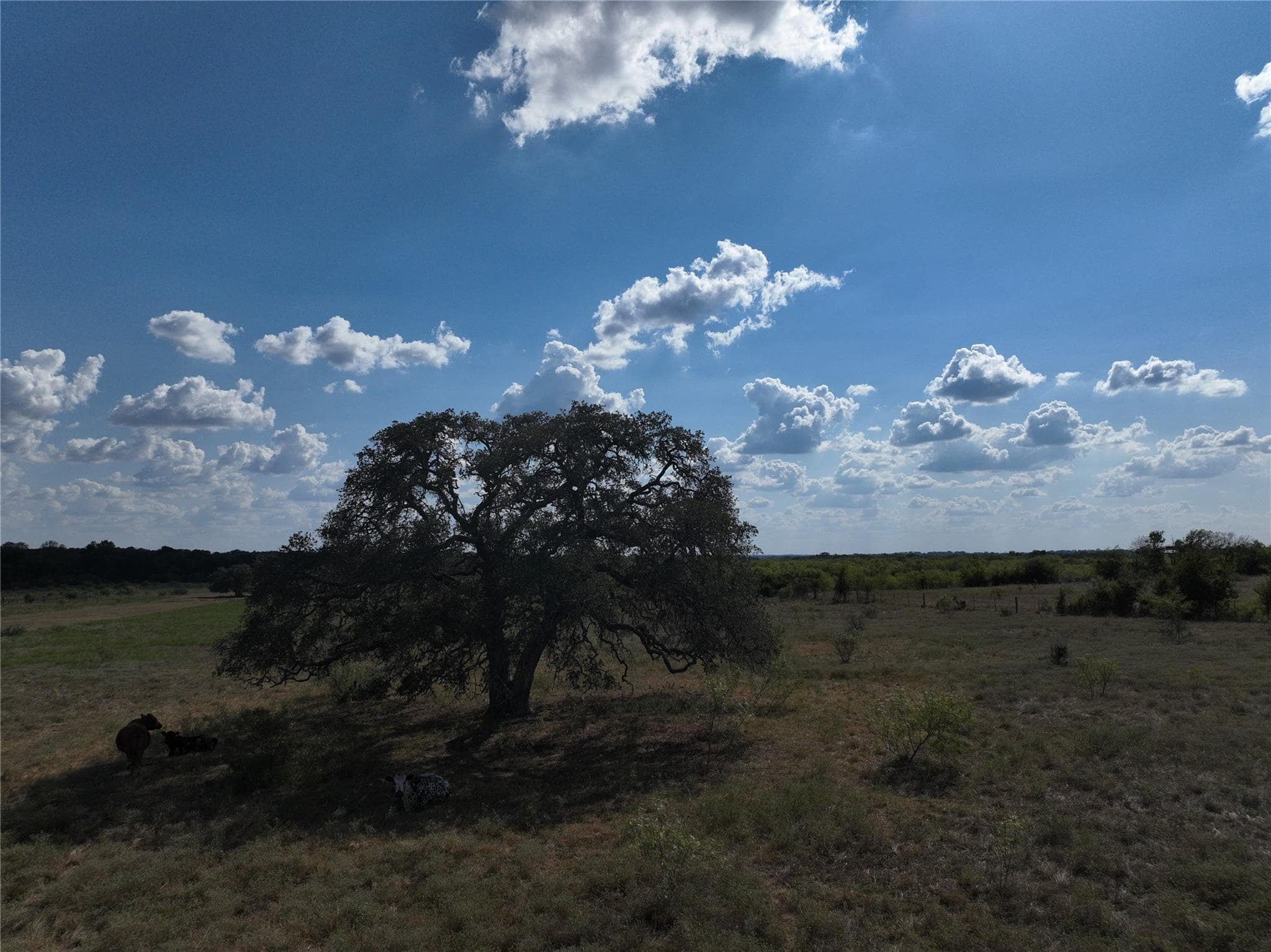 TBD Lot 5  Tenney Creek Rd Rd