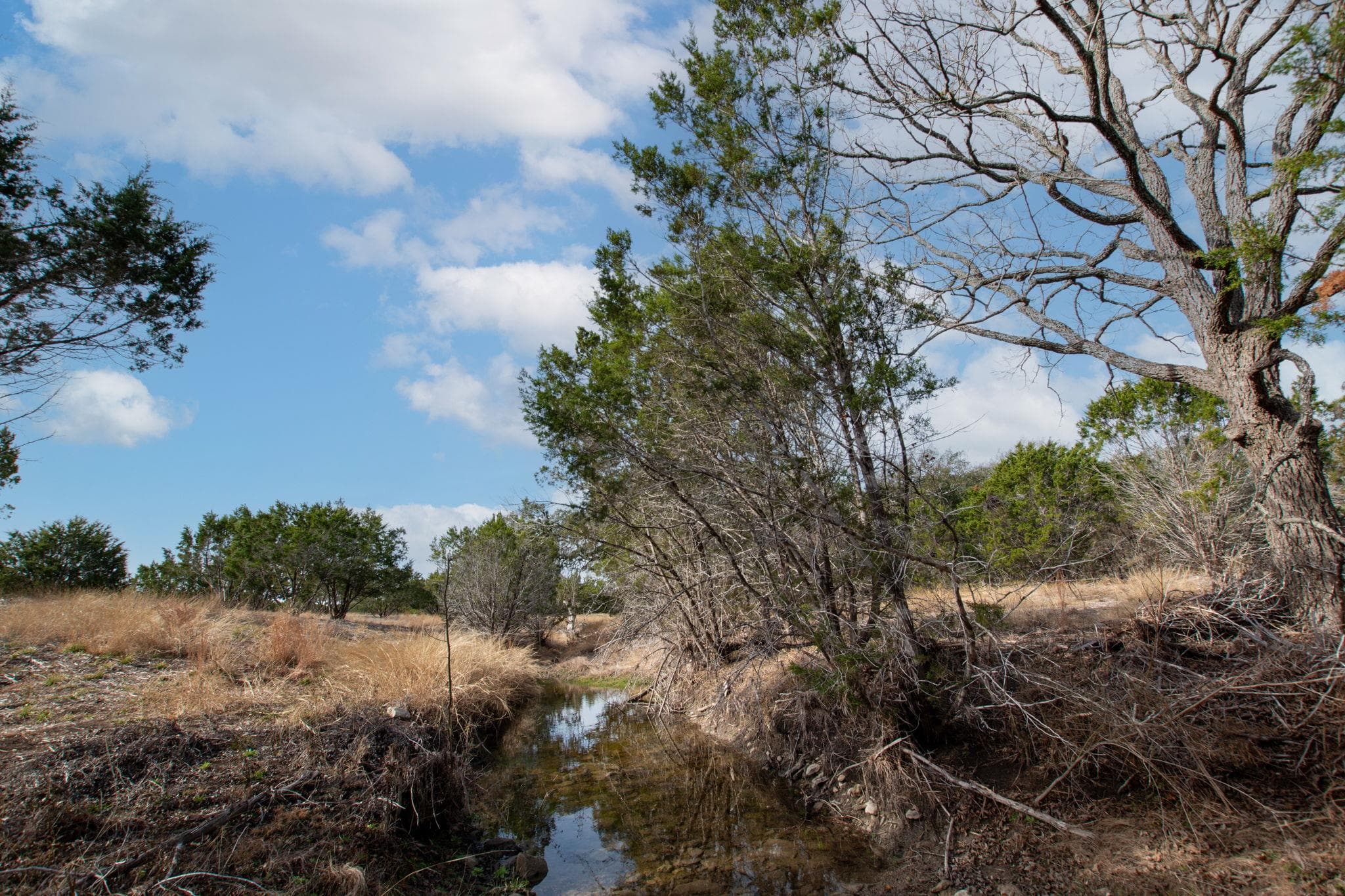 TBD  Burnet Oaks Lot 20 Dr