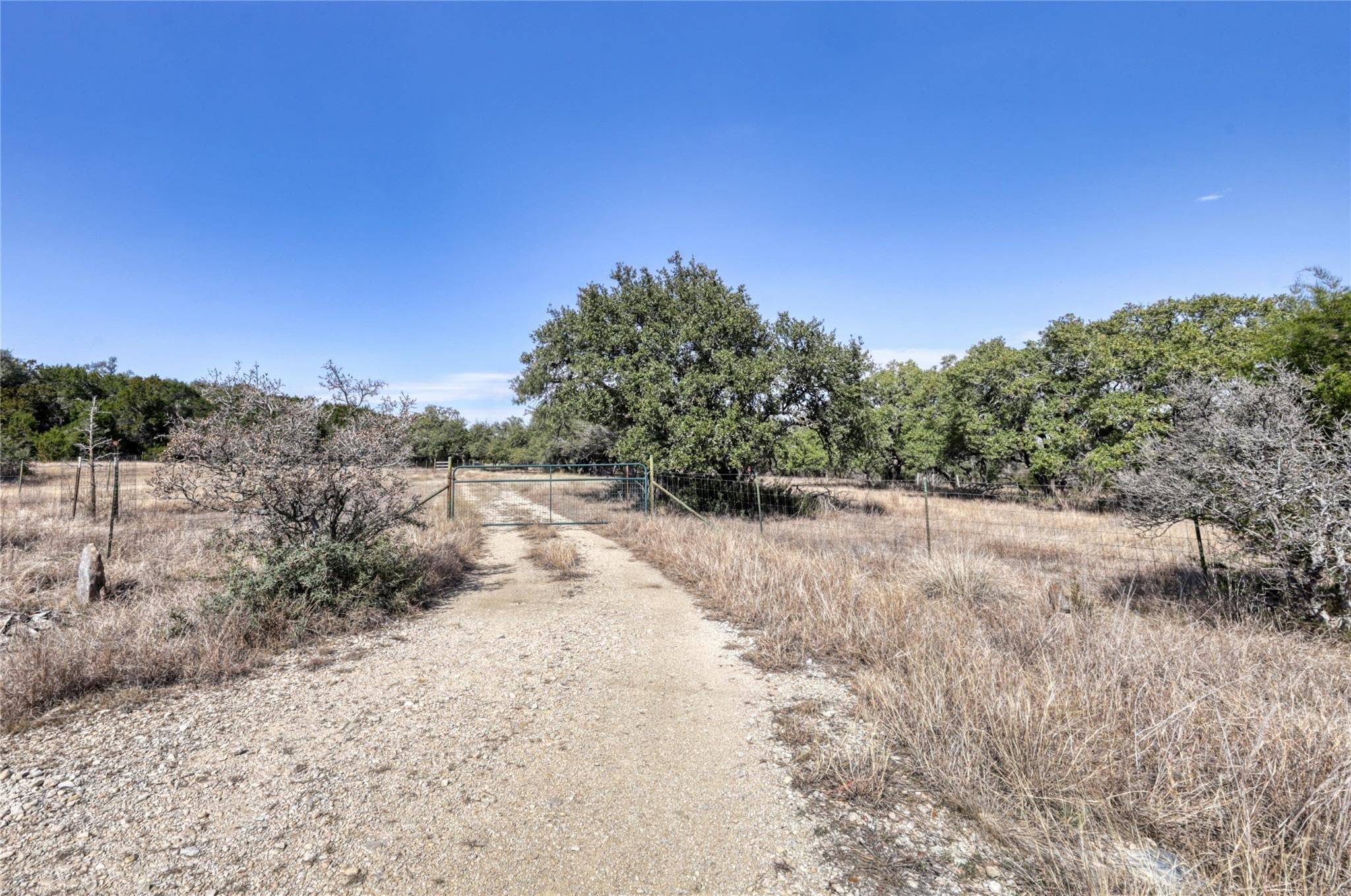 101  Purple Sage None