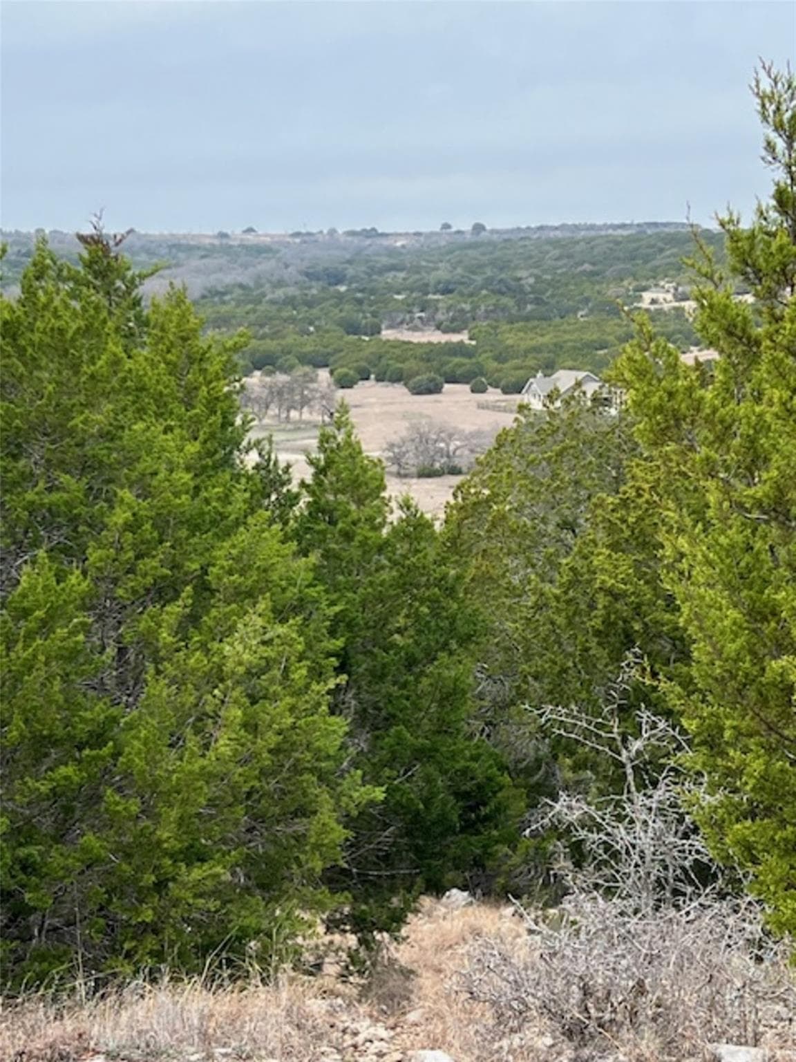 4238 E. FM 581 None