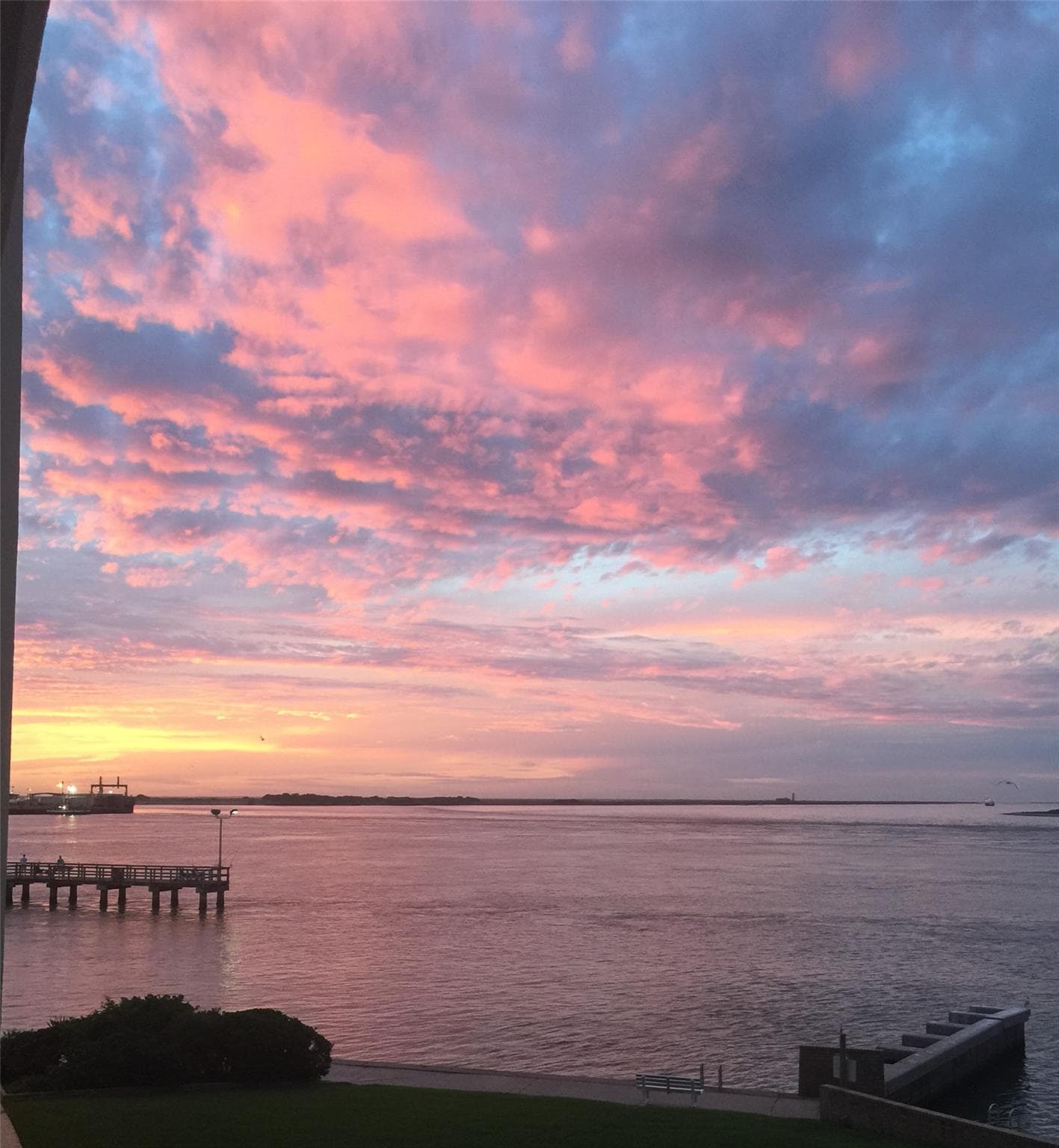 1000 N Station St  #106