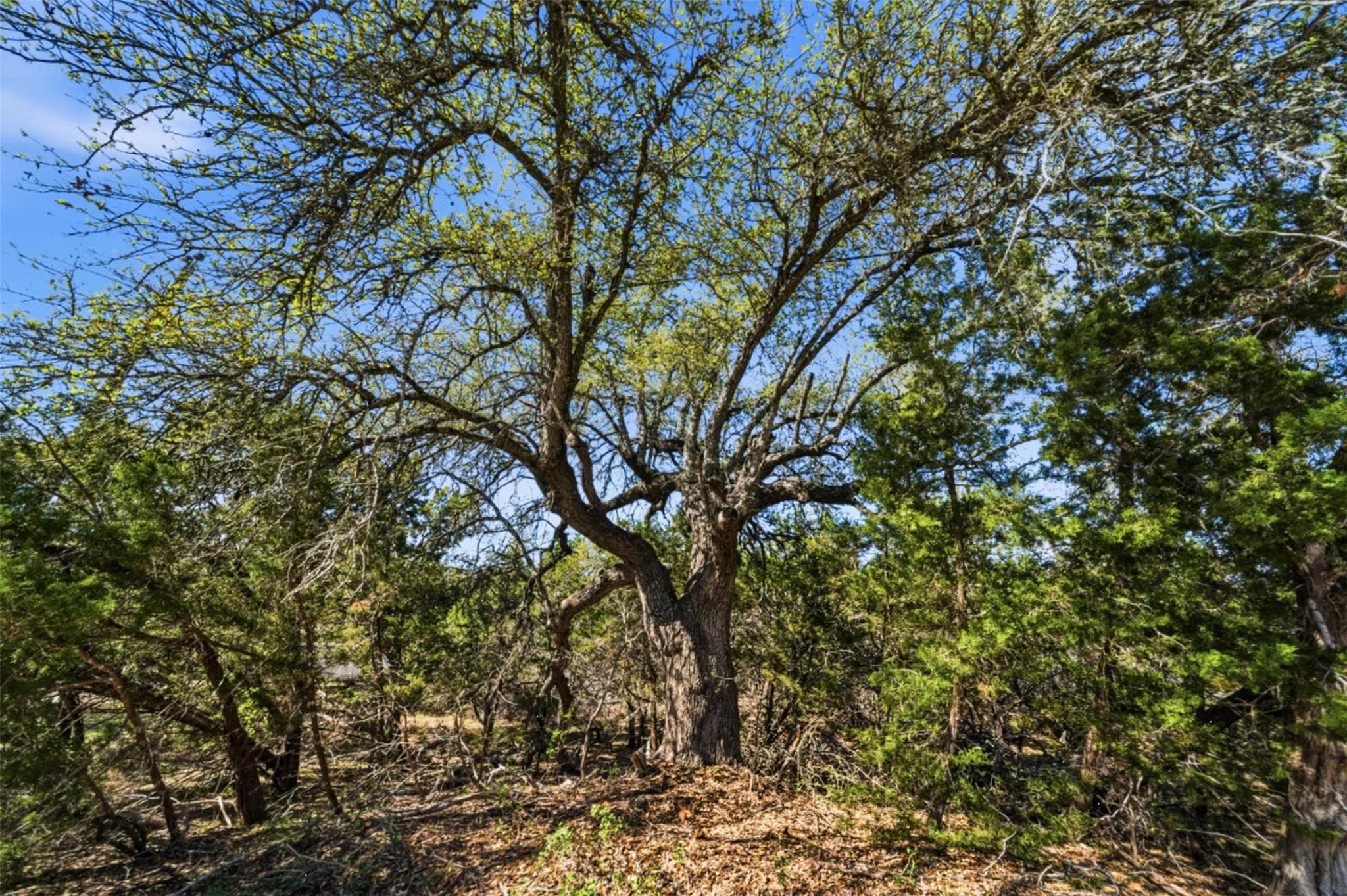 000  Hidden Hills Dr