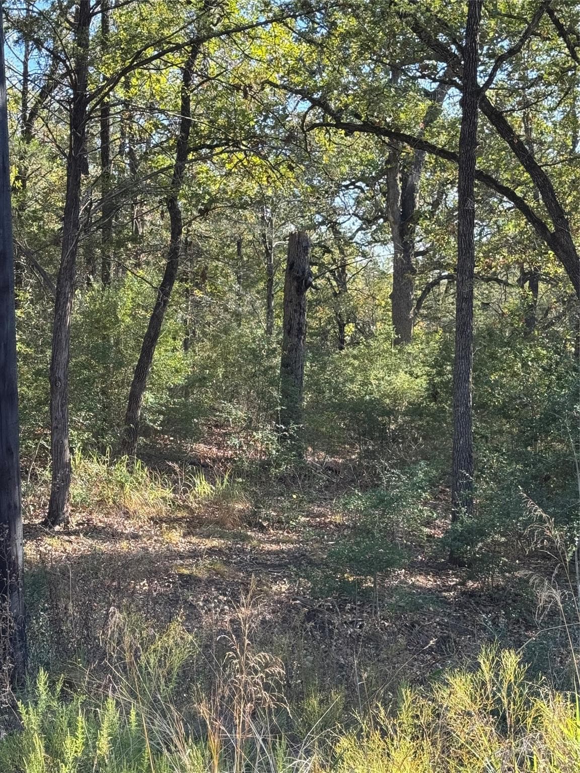 Lot 130 Wailupe Cir