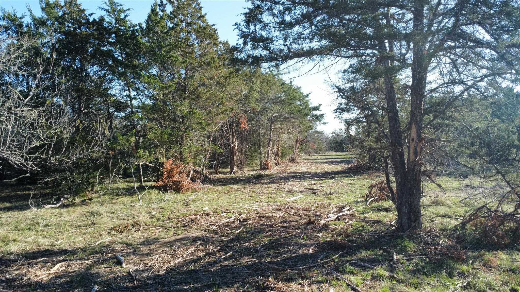 TBD Lot 7 Patterson Rd