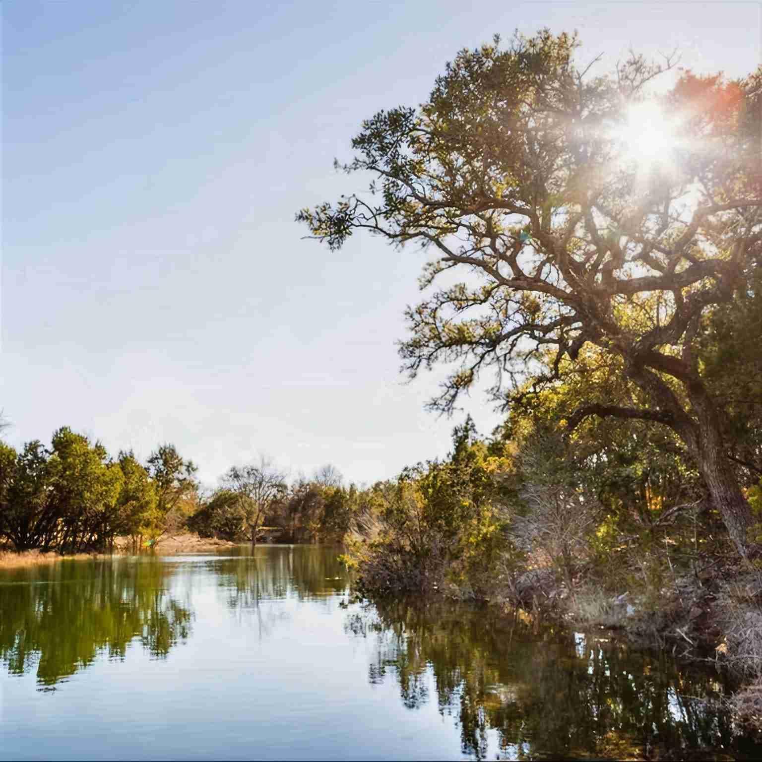 4120  N Hwy 281 None