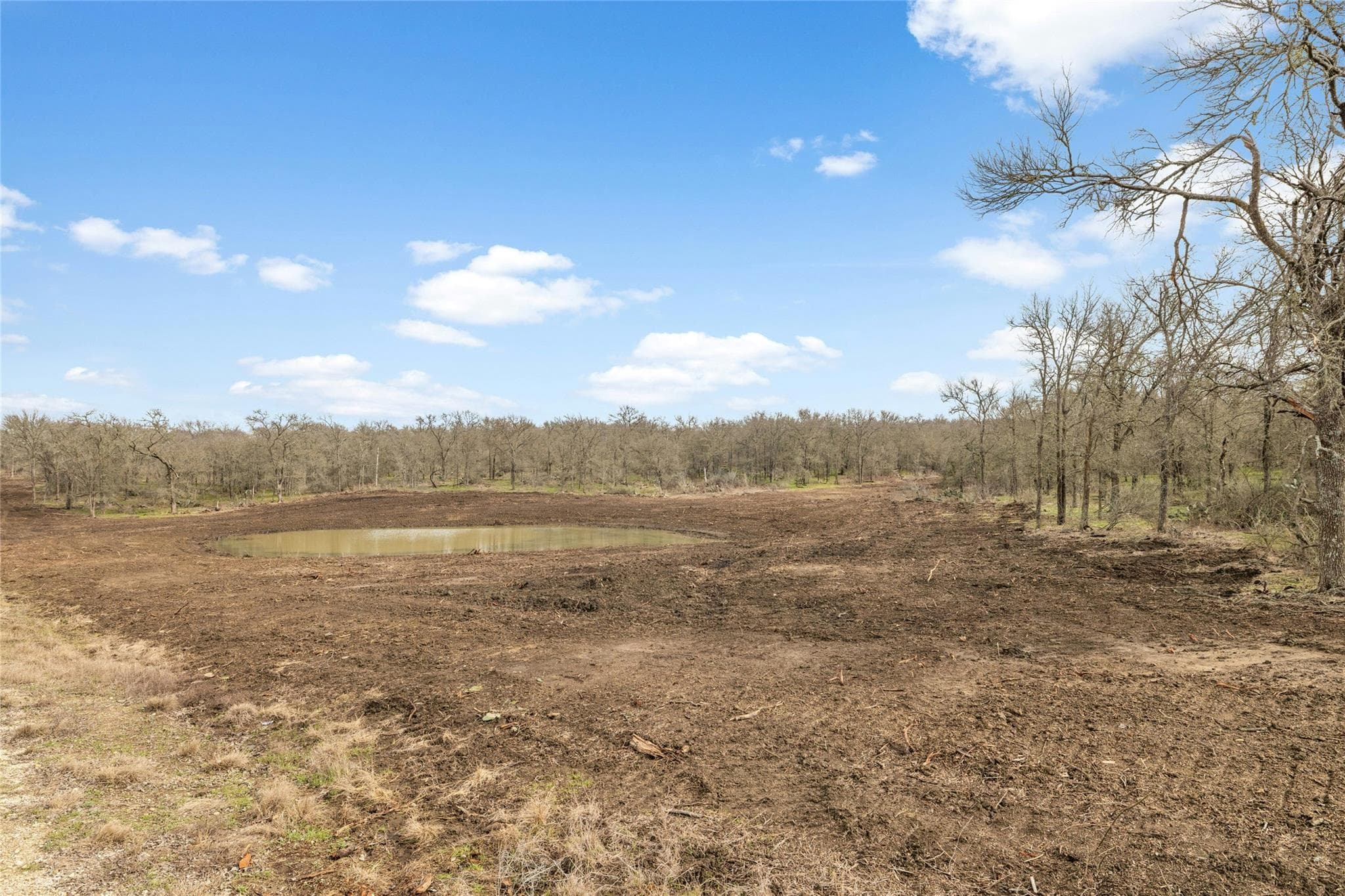 747  County Road 467 None