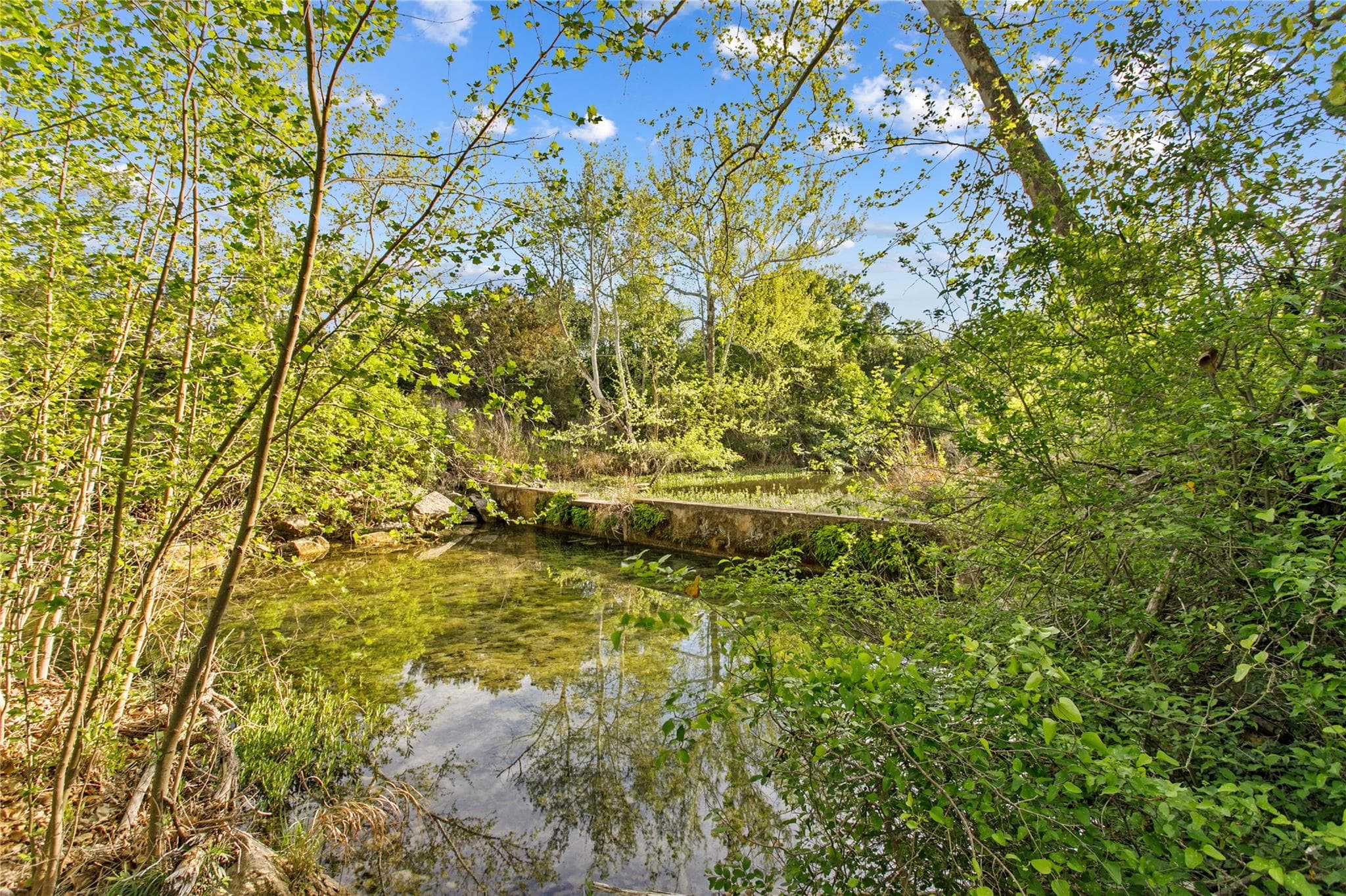 15407 A  Fitzhugh Pl