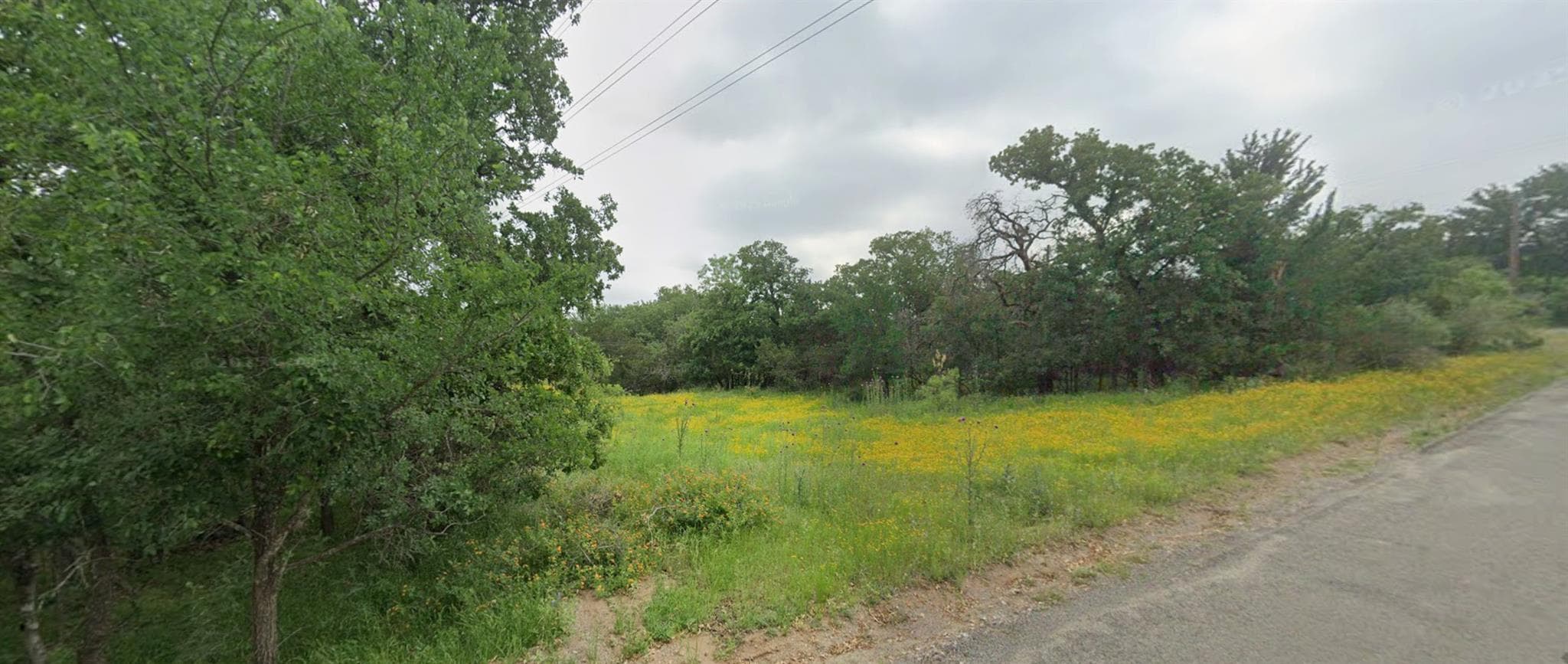 359 Pine Ln