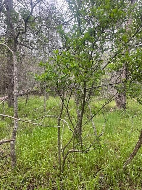 Lot 628 Hilea Ct