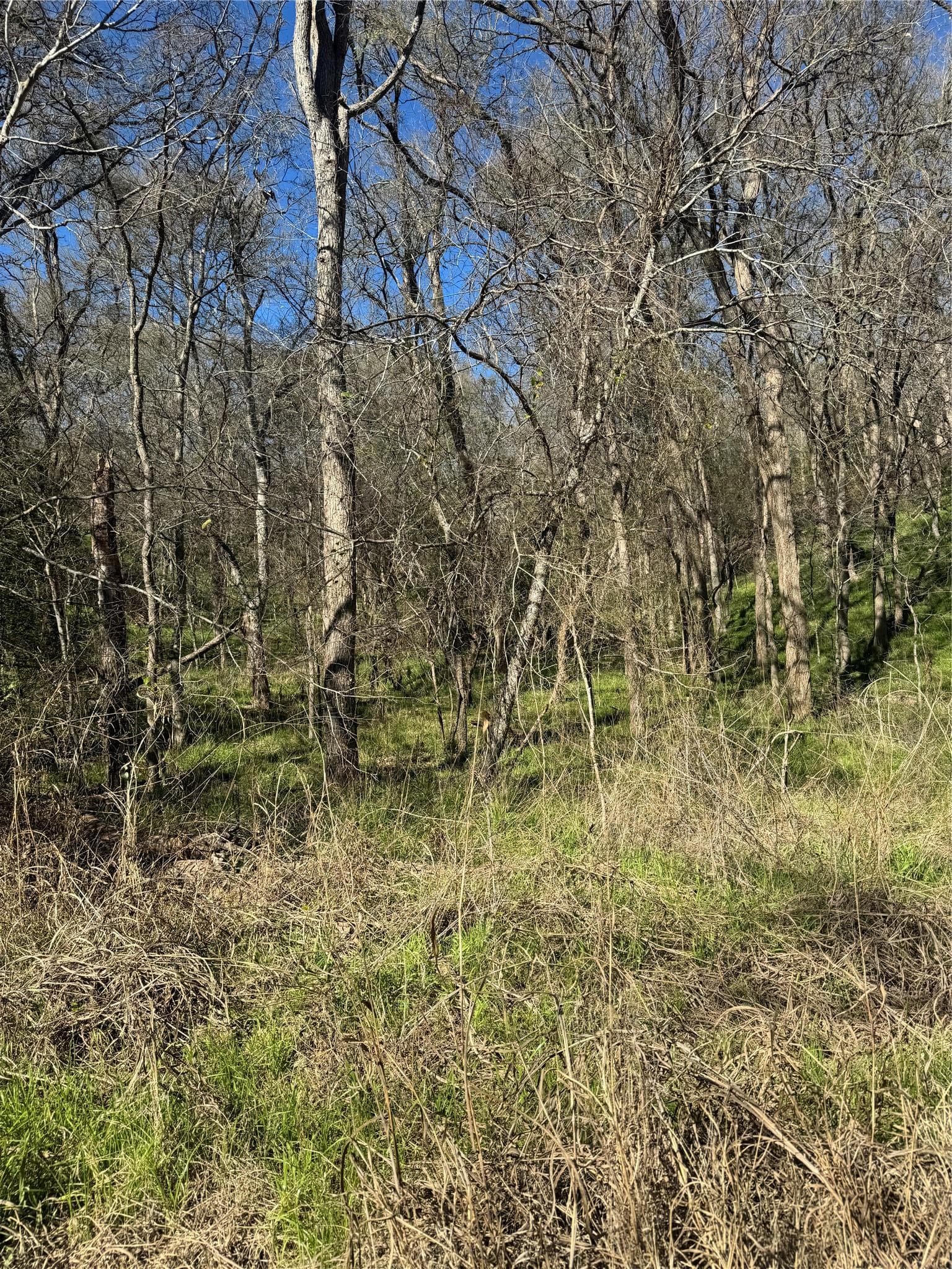 Lots 638. 639. 640  Kaukonahua Ln