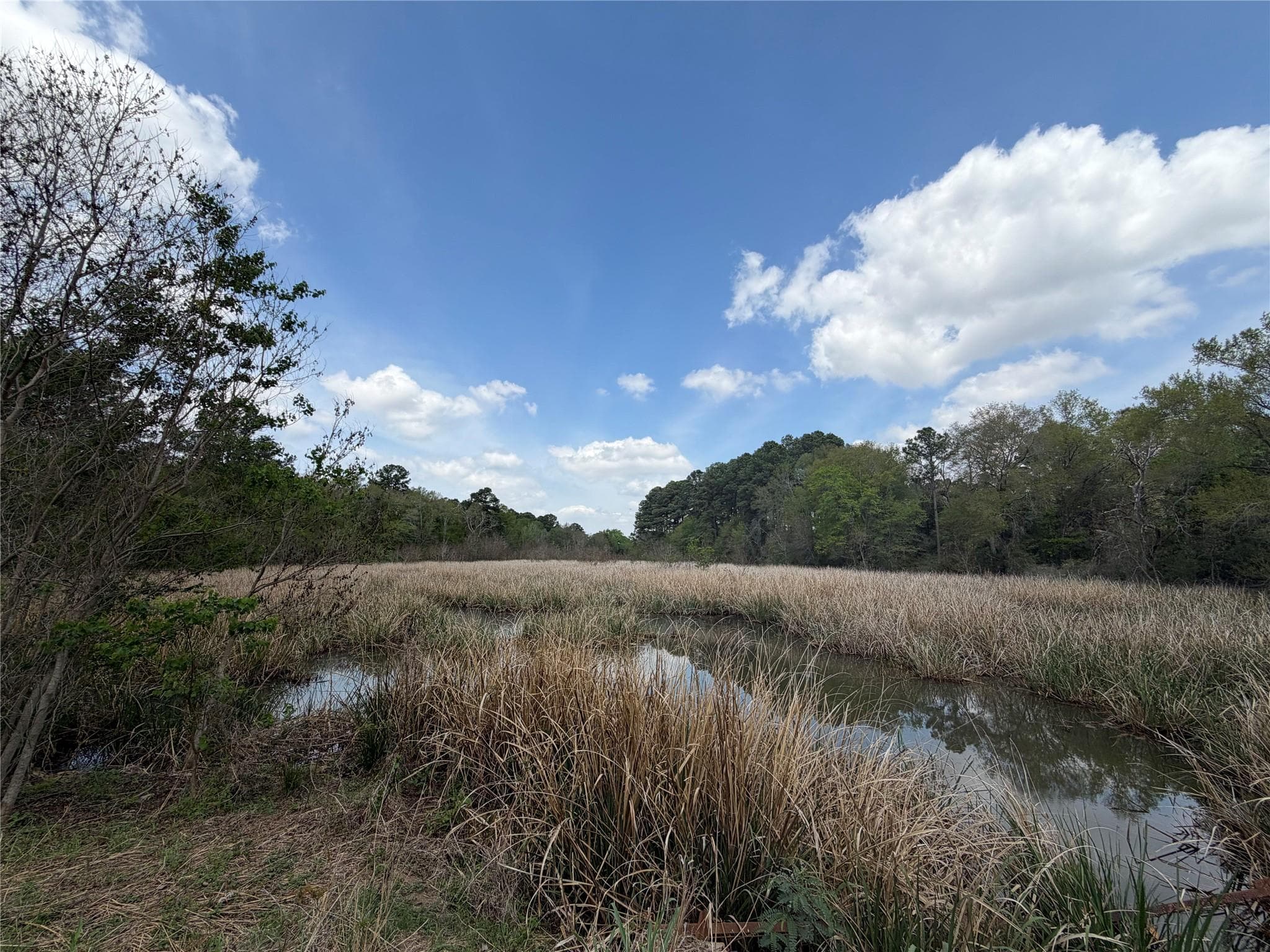 118  Edmonson Ranch Rd