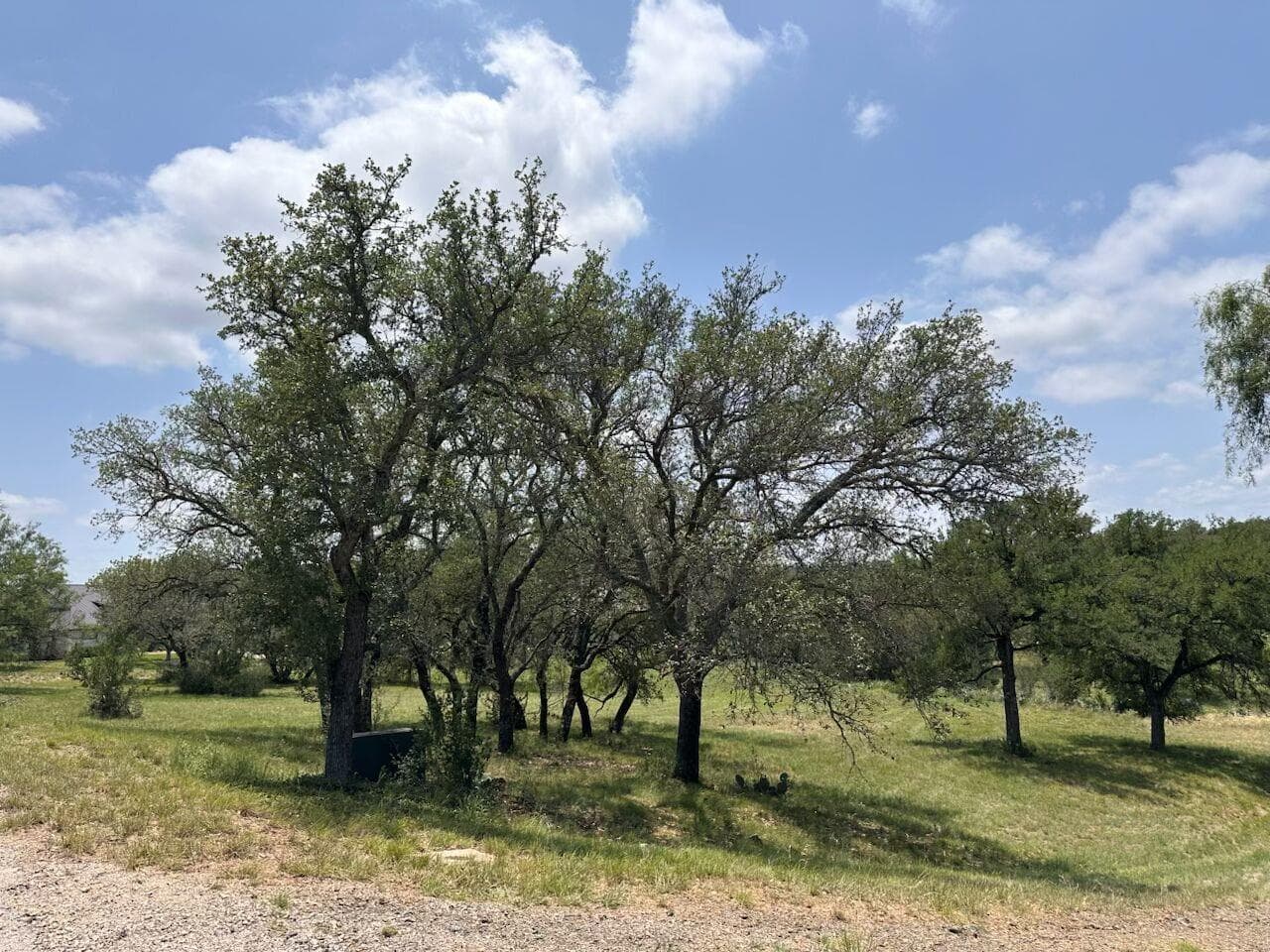 W23015  Lost River/Lost Creek None