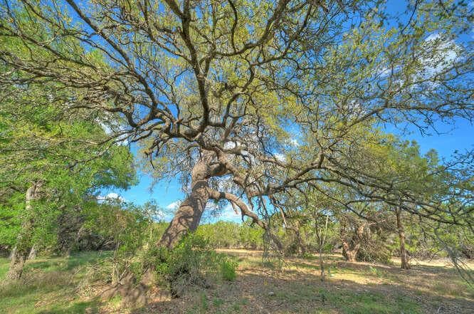 Star Gazer Lot 8  Stargazer Dr