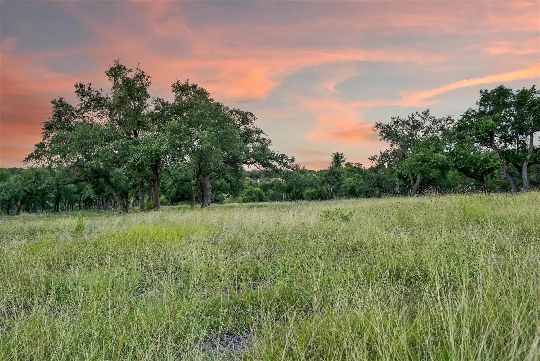 20109  Westlake Pkwy  #Lot #4