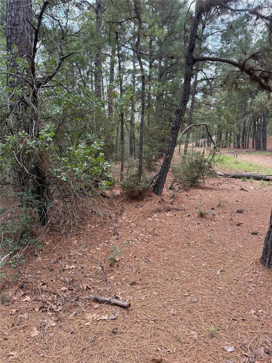 Lot 35  Tanglewood Dr