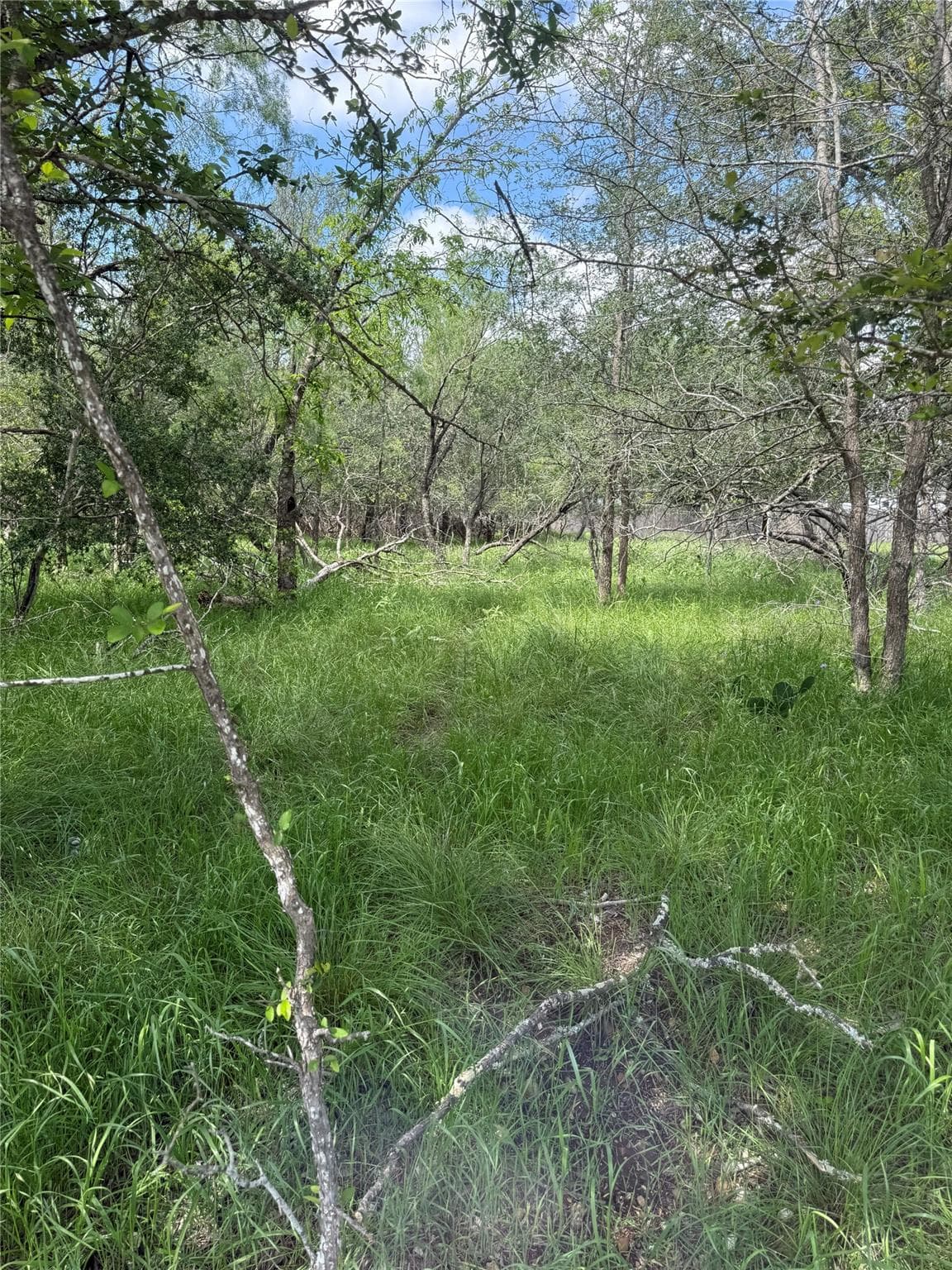 Lot 200  Nene Ln