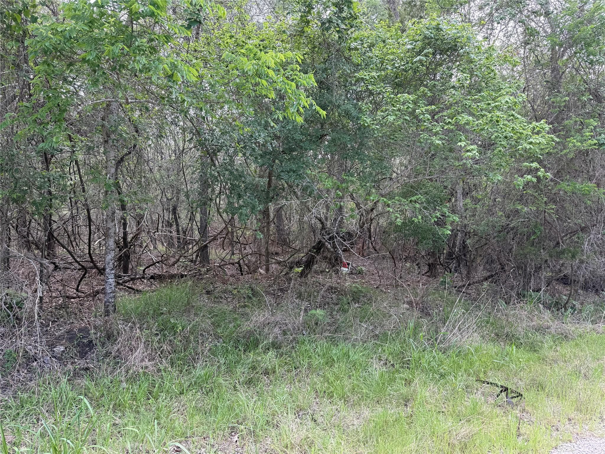305 Nene Ln