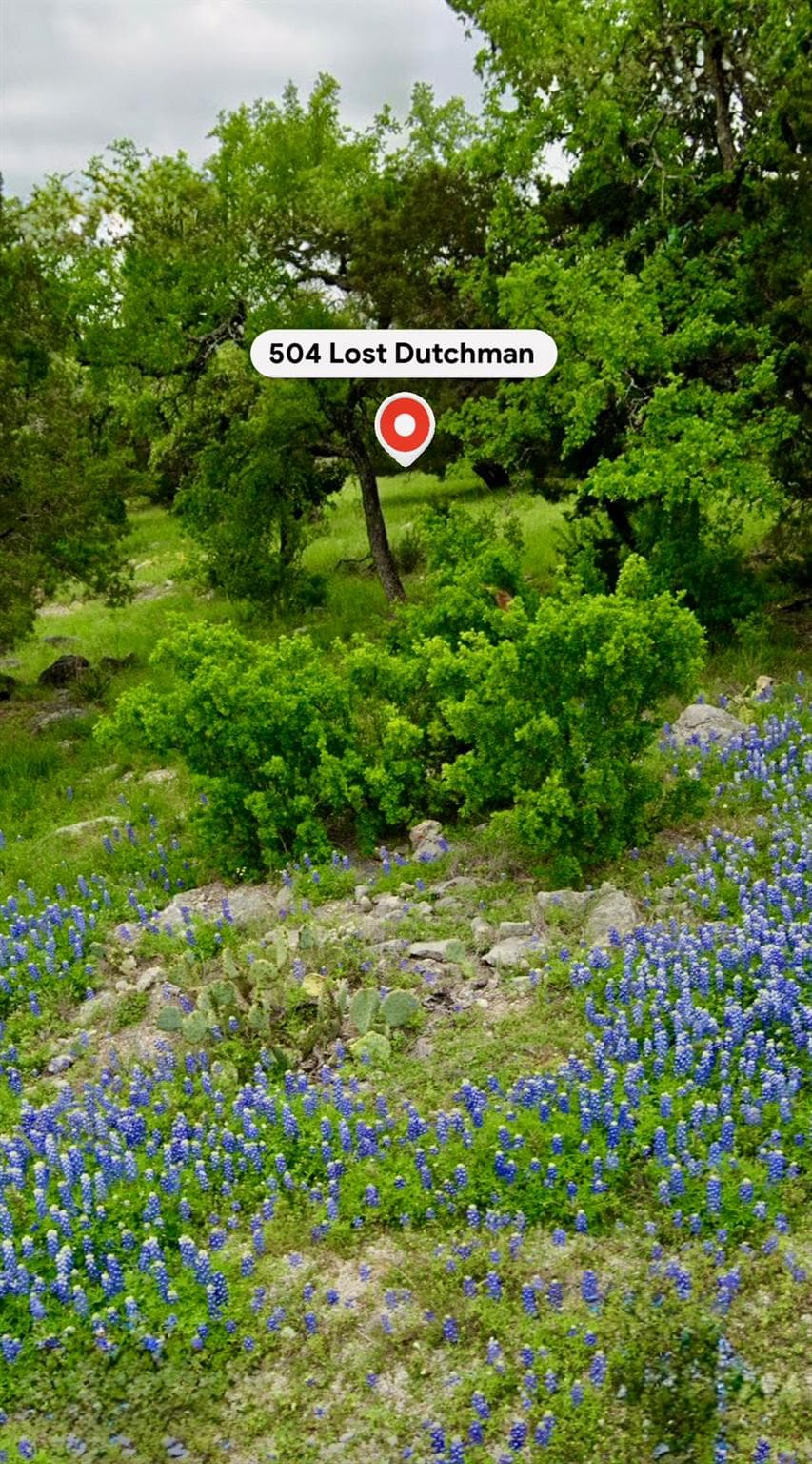 504  Lost Dutchman None