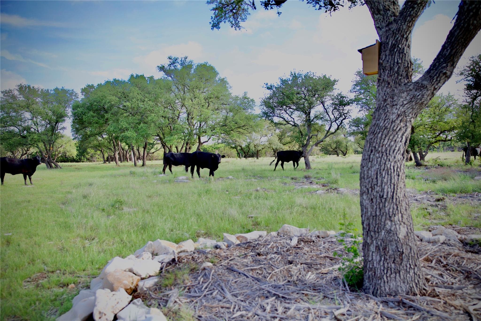 Lot 33 Starfall Dr