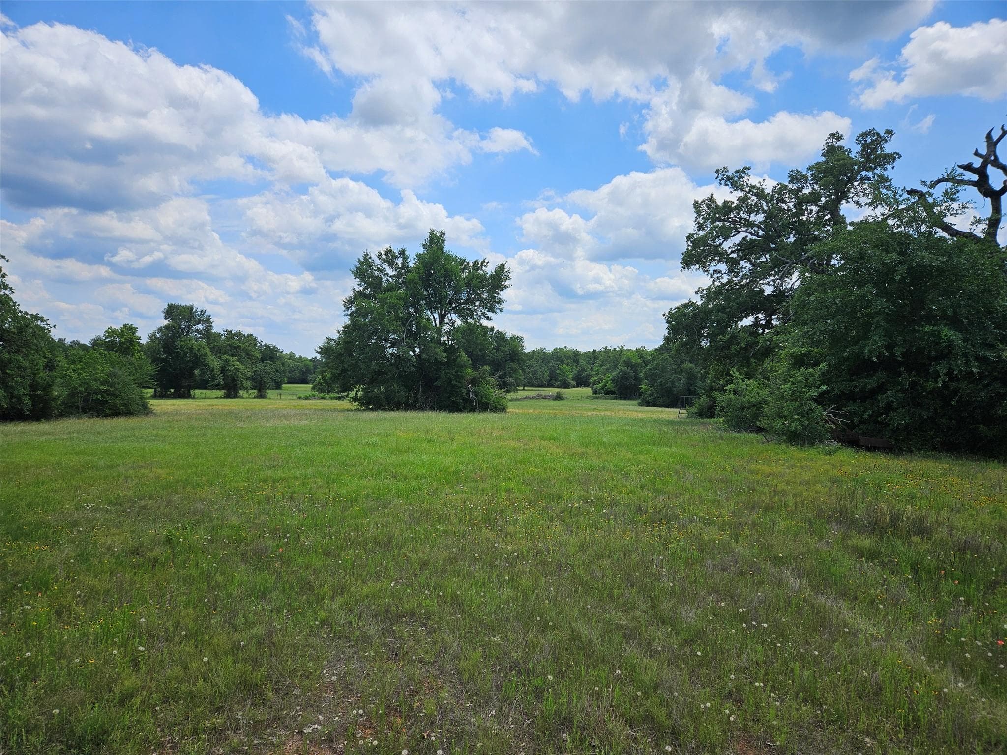 000 TBD  CR 346 Rd
