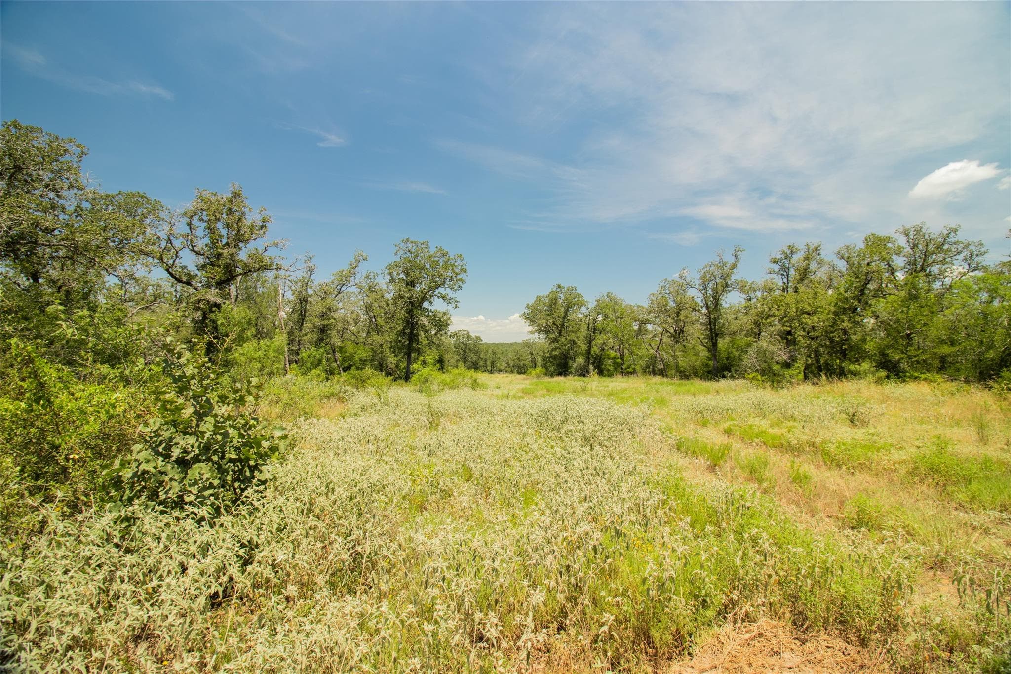2564  Bluestem Crest Ln