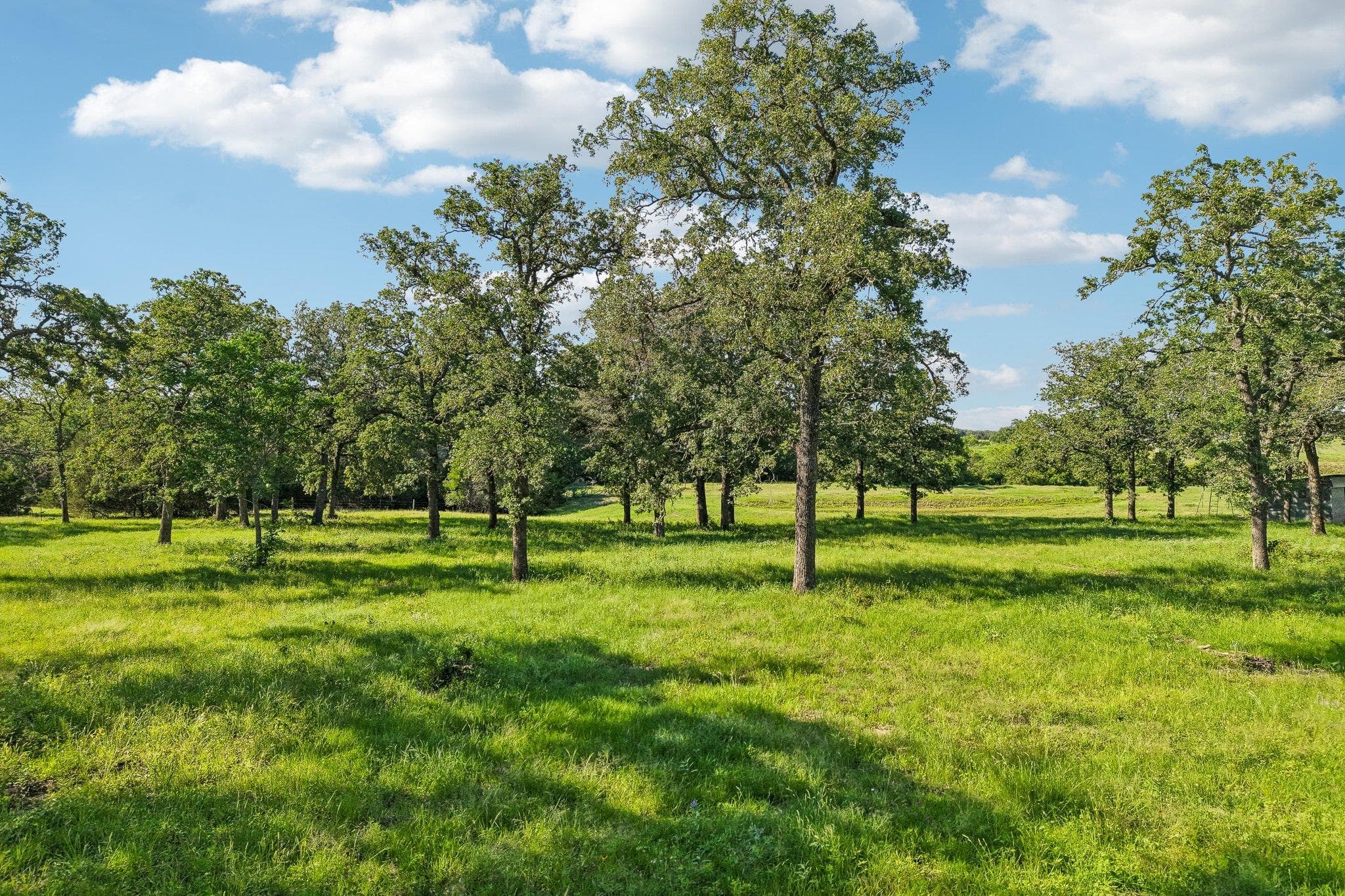6 Acres  County Road 211 None