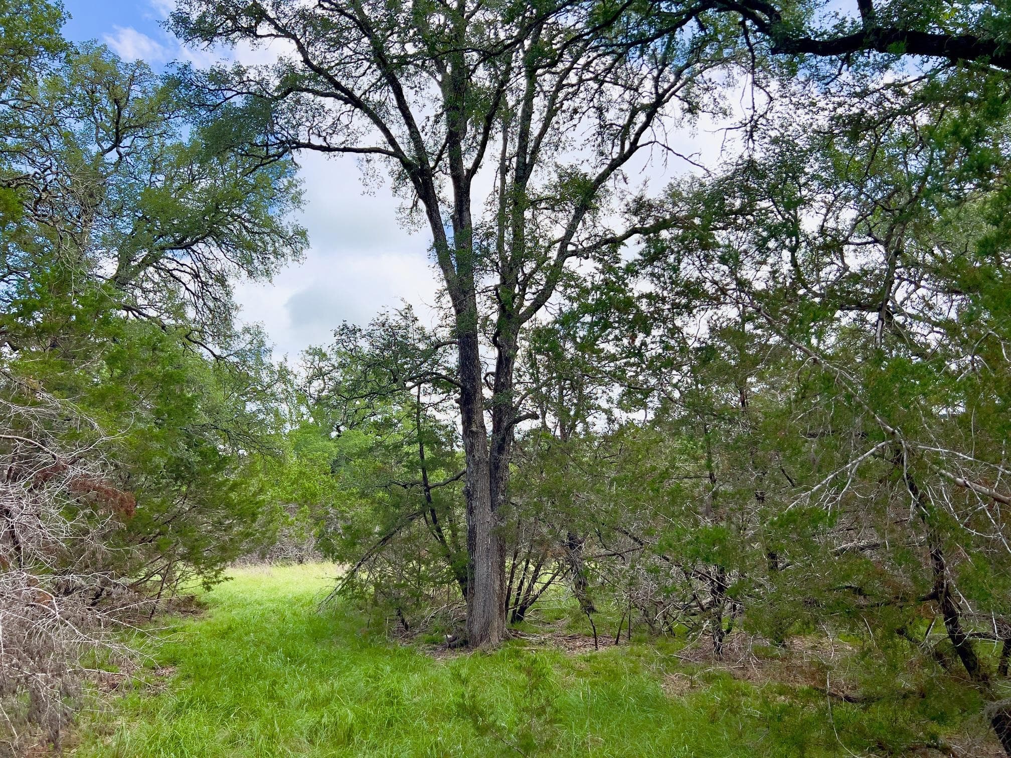 Lot 43-A  Narrows Rd  #1